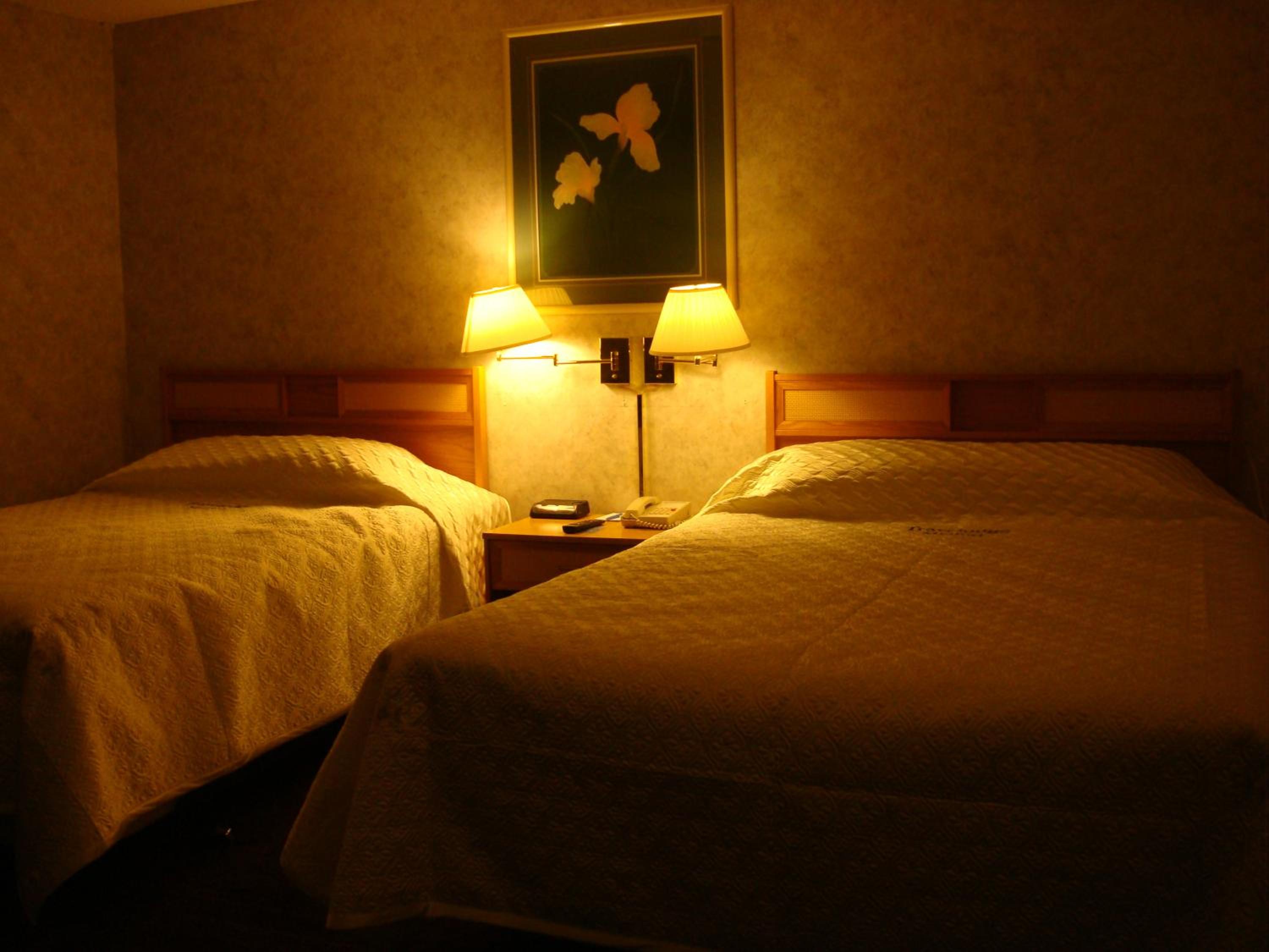 Deluxe Double Room (1 adult + 2 children)
