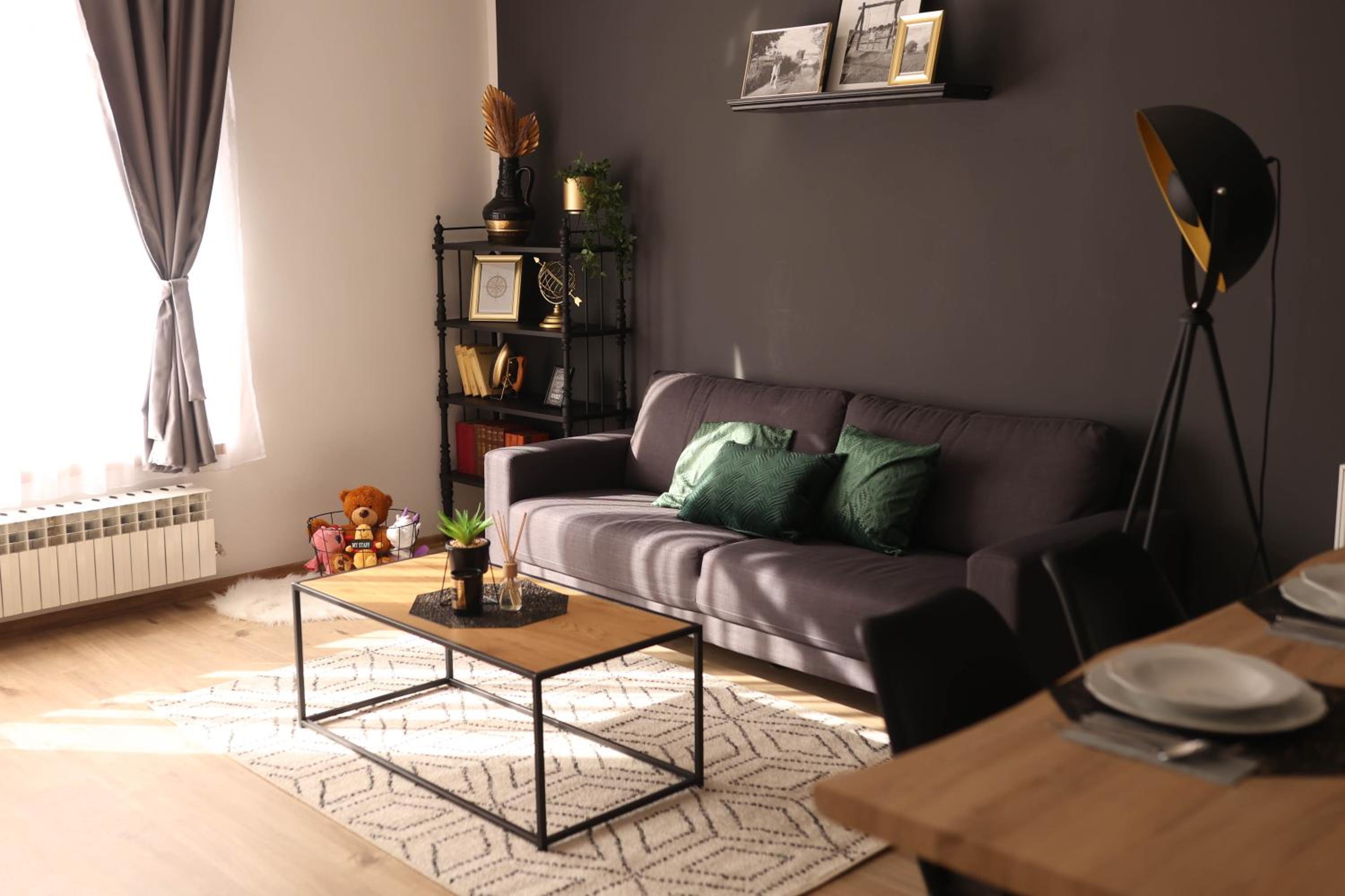 One-Bedroom Apartment photo 3
