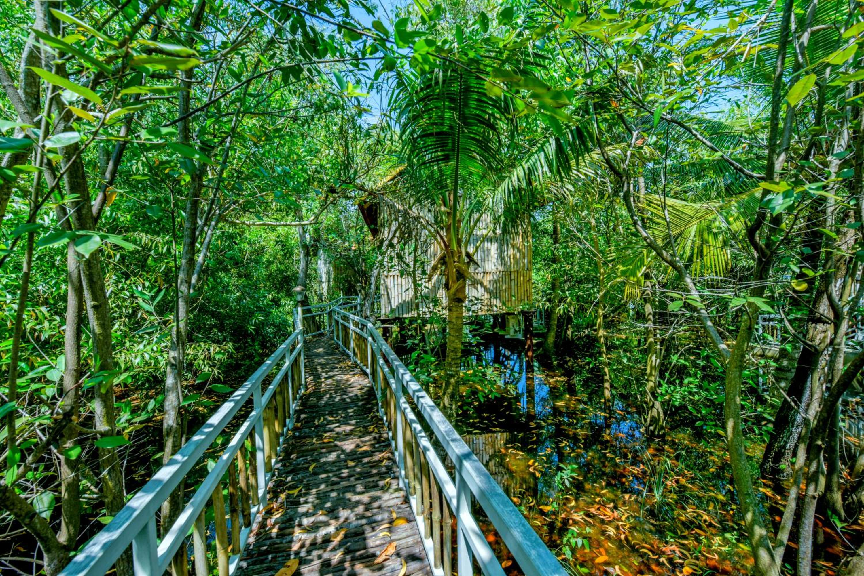 Bamboo Lake View Cottage - Photo 4