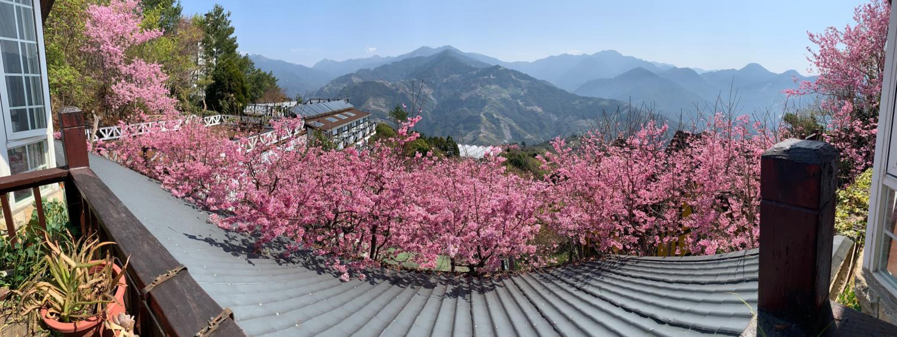 Double Room with Mountain View photo 3