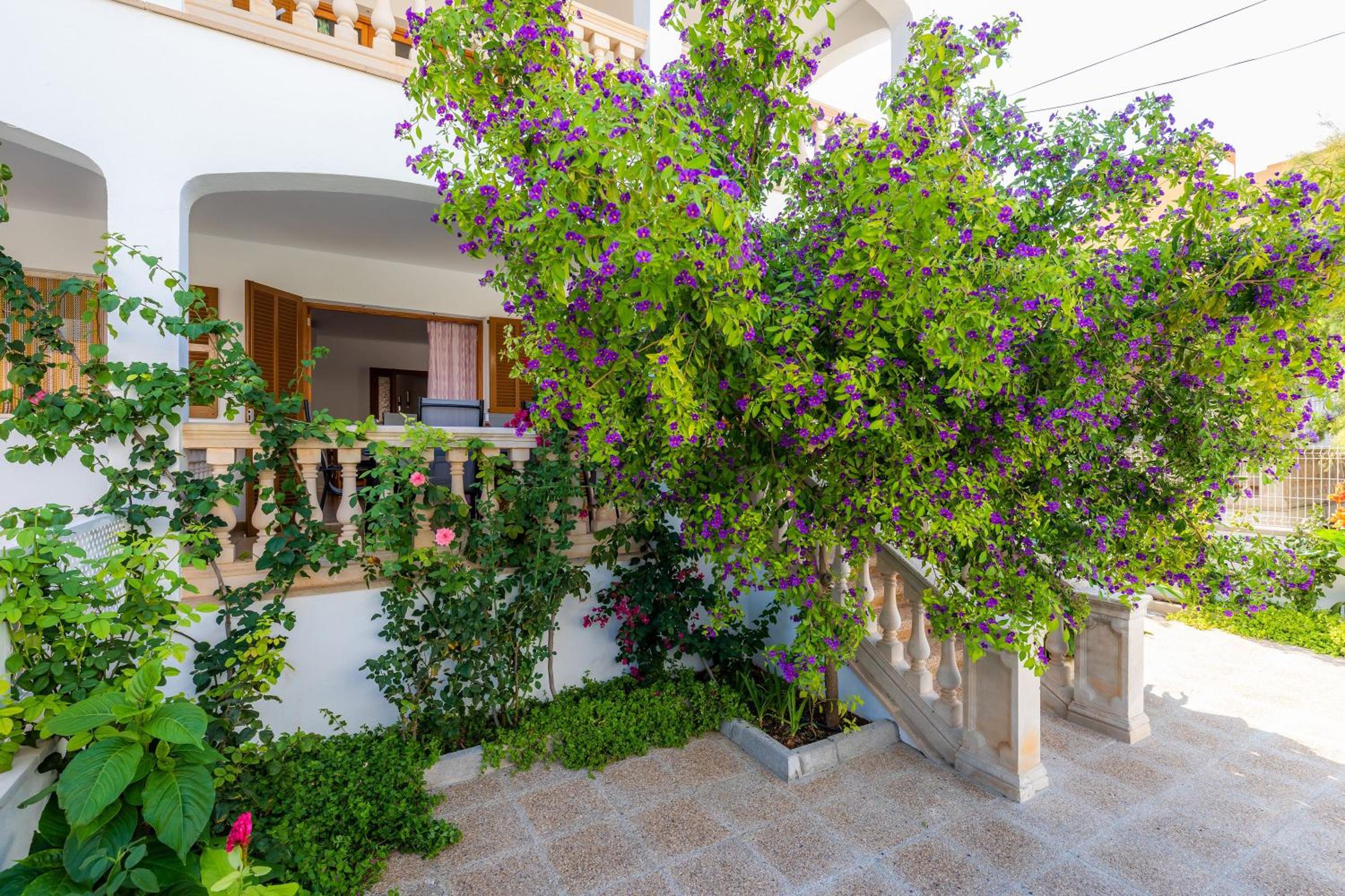 Three-Bedroom Premium Apartment with Balcony thumbnail 5