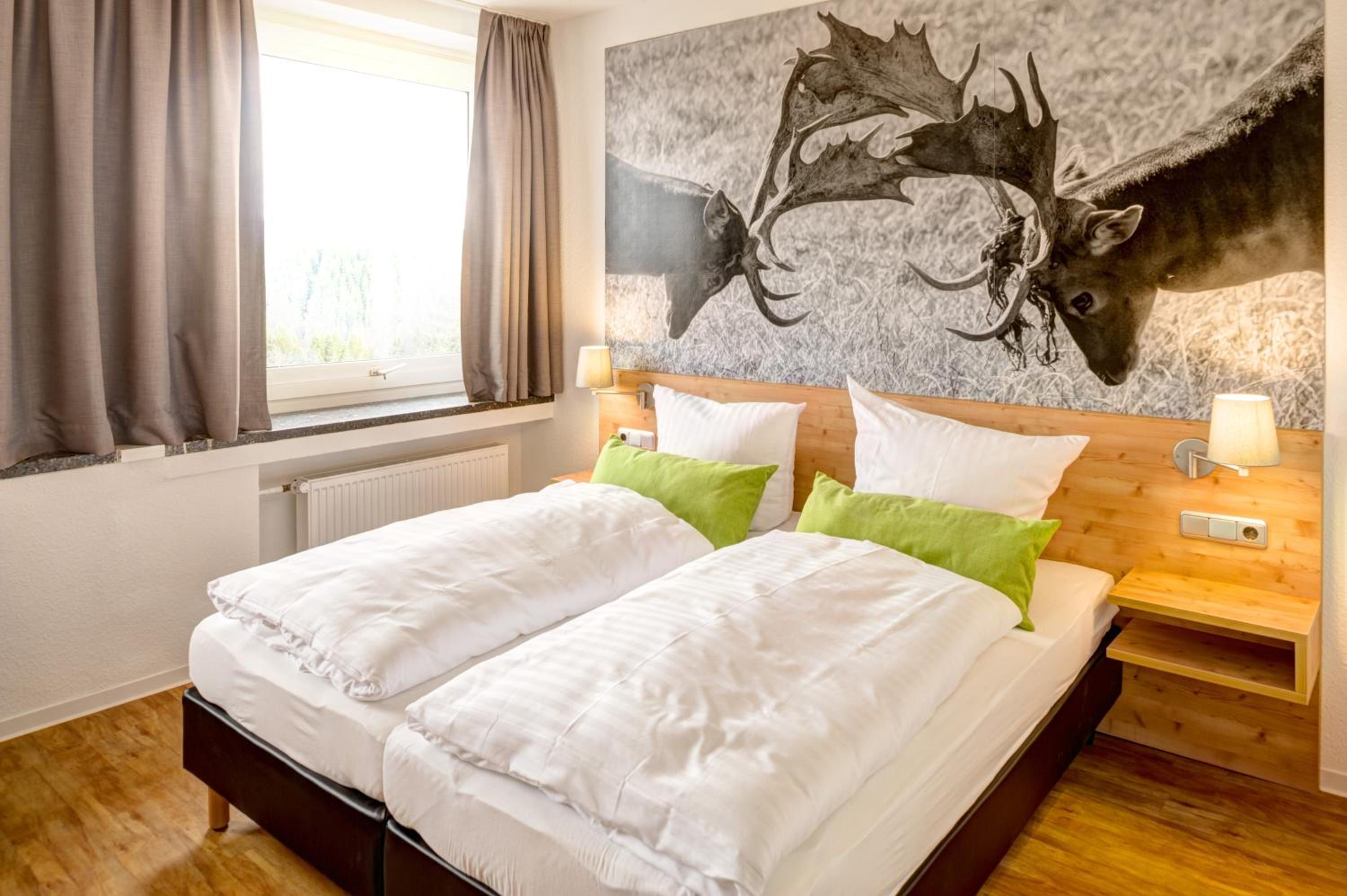 Superior One-Bedroom Apartment photo 2