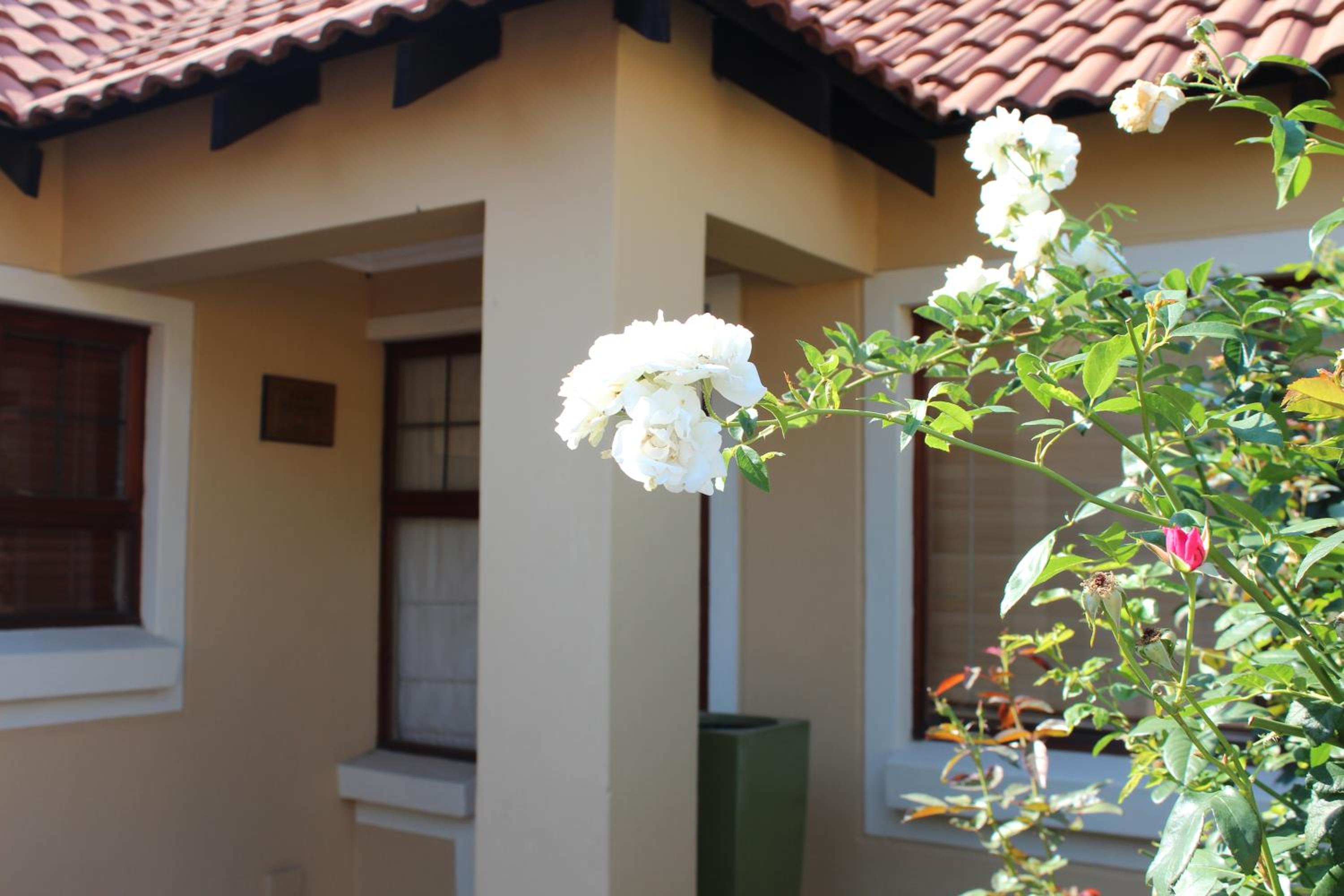 Superior Villa photo 3