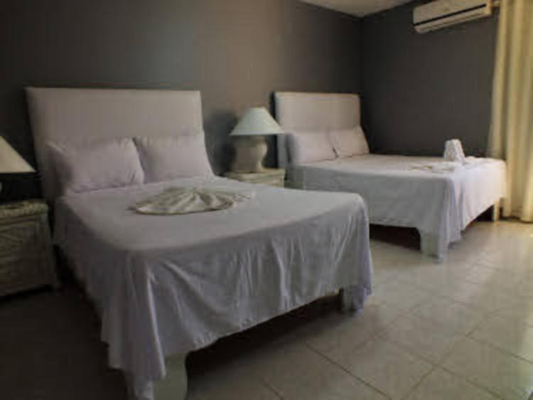 Deluxe Twin Room photo 1