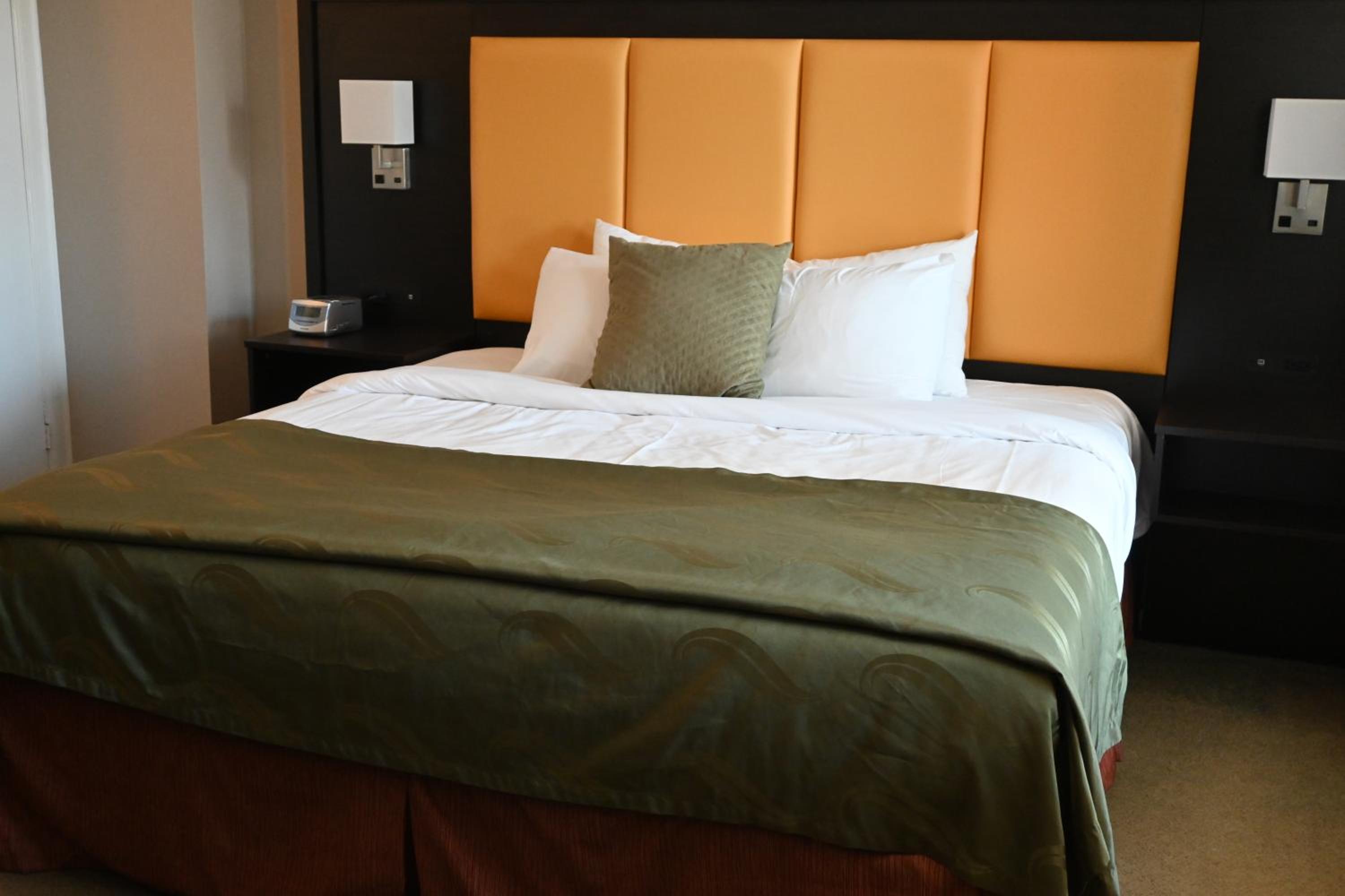 King Room - Photo 9