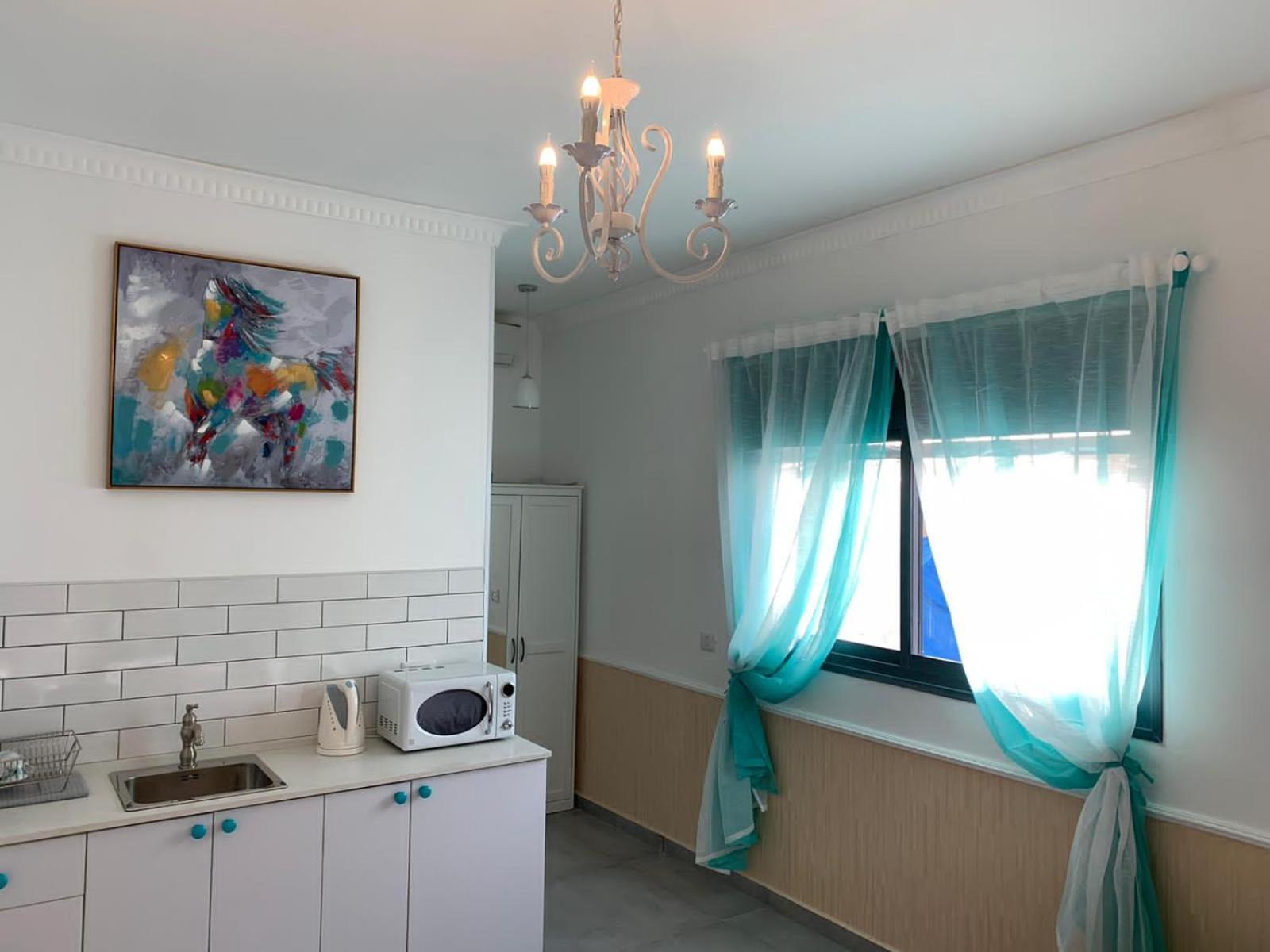 Studio Apartment photo 2