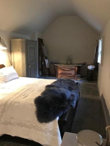 Deluxe Room photo 1