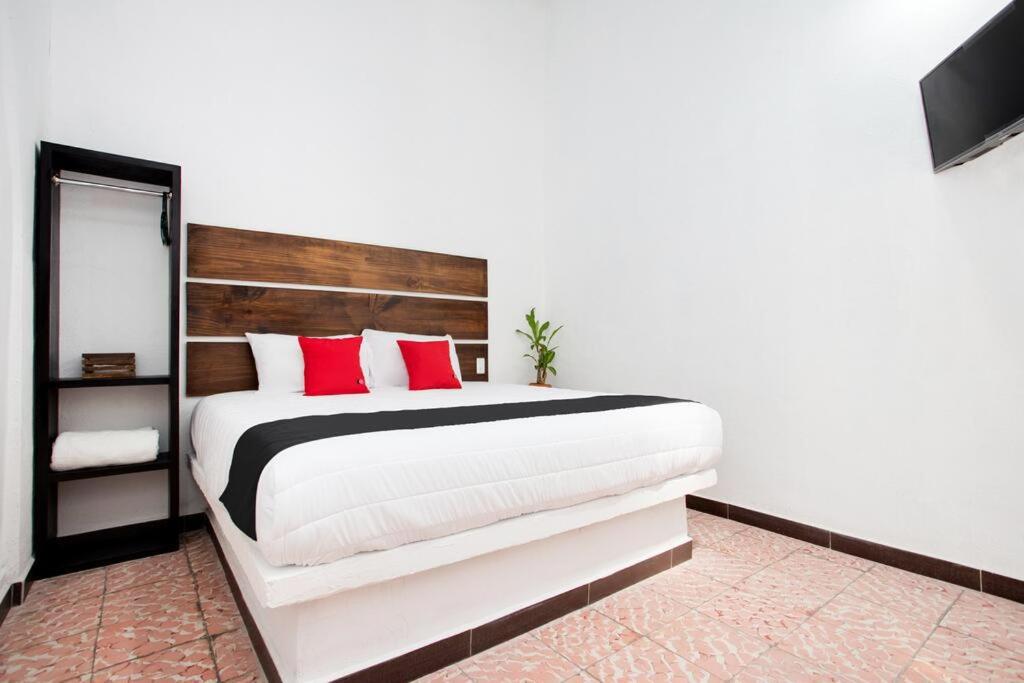 King Room photo 1