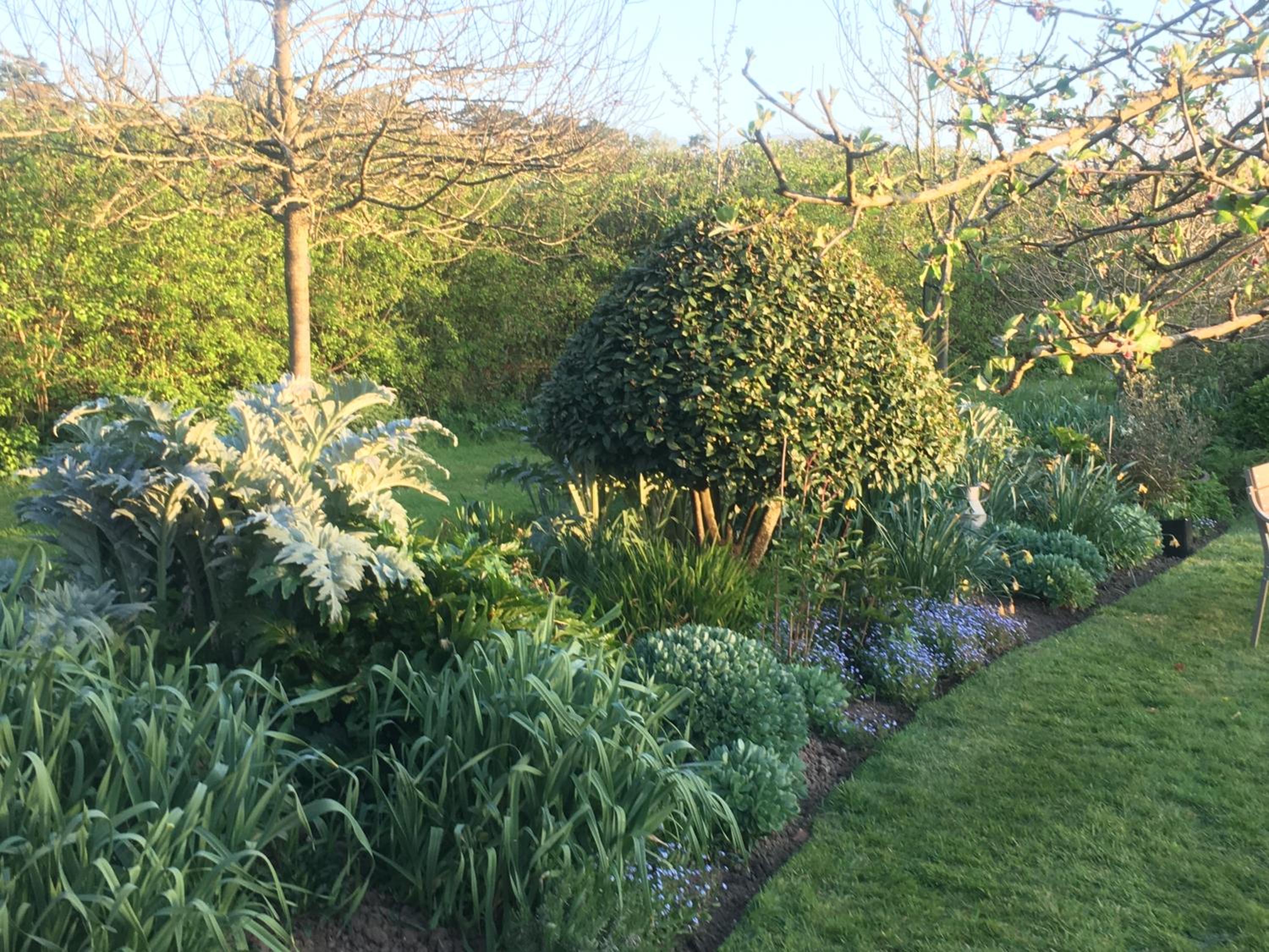 Double Room With Garden View photo 3