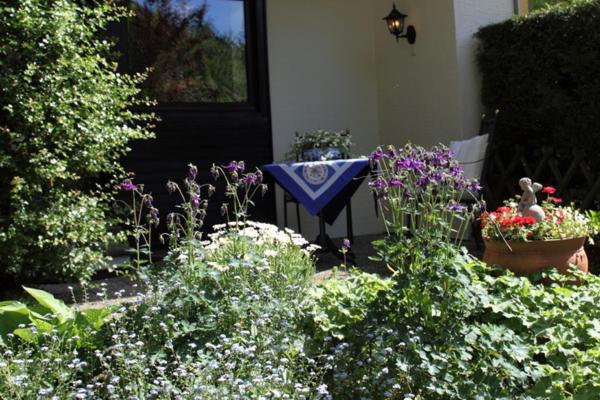 Apartment with Terrace photo 3