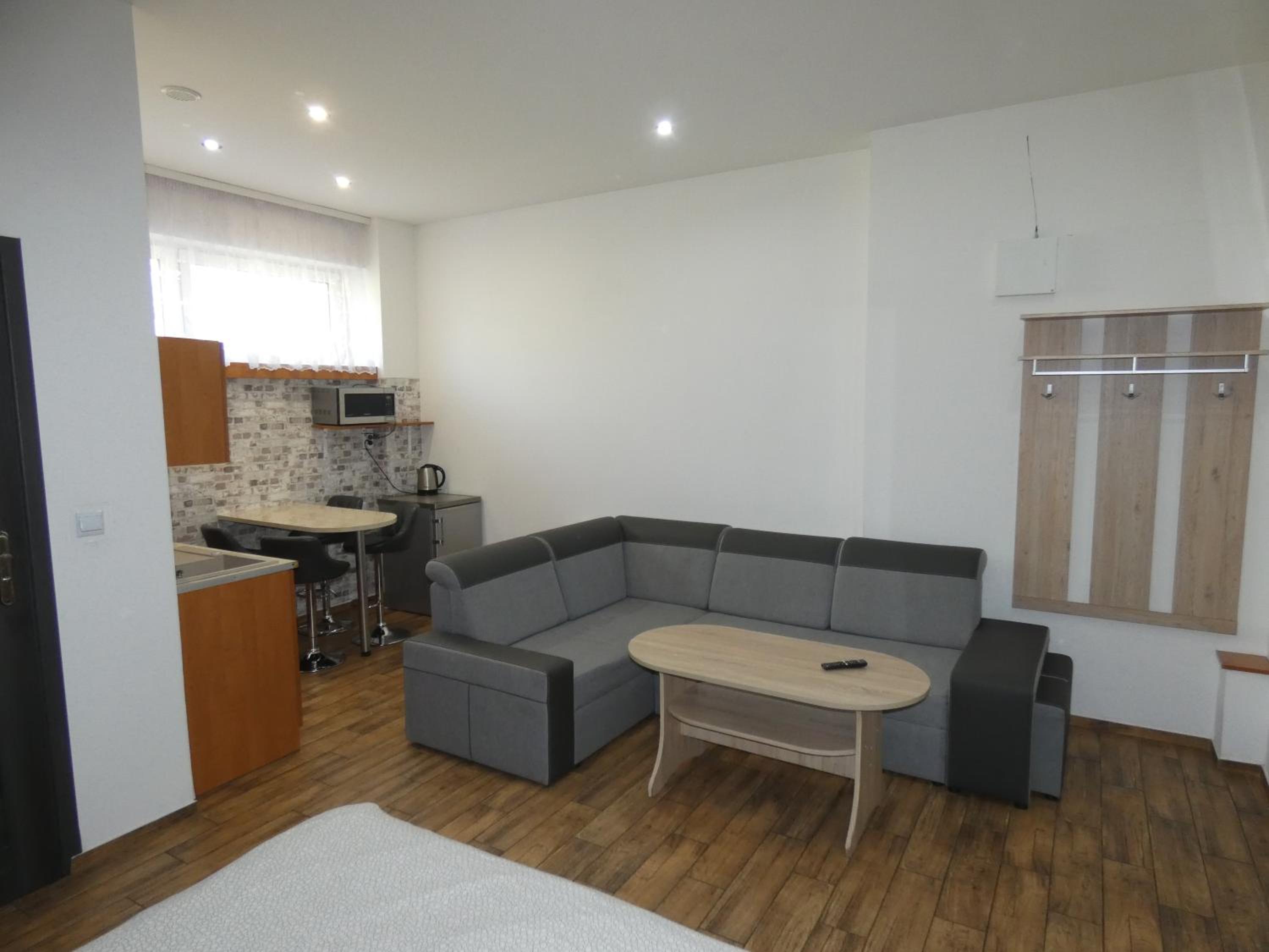 Studio Apartment with Fireplace photo 2