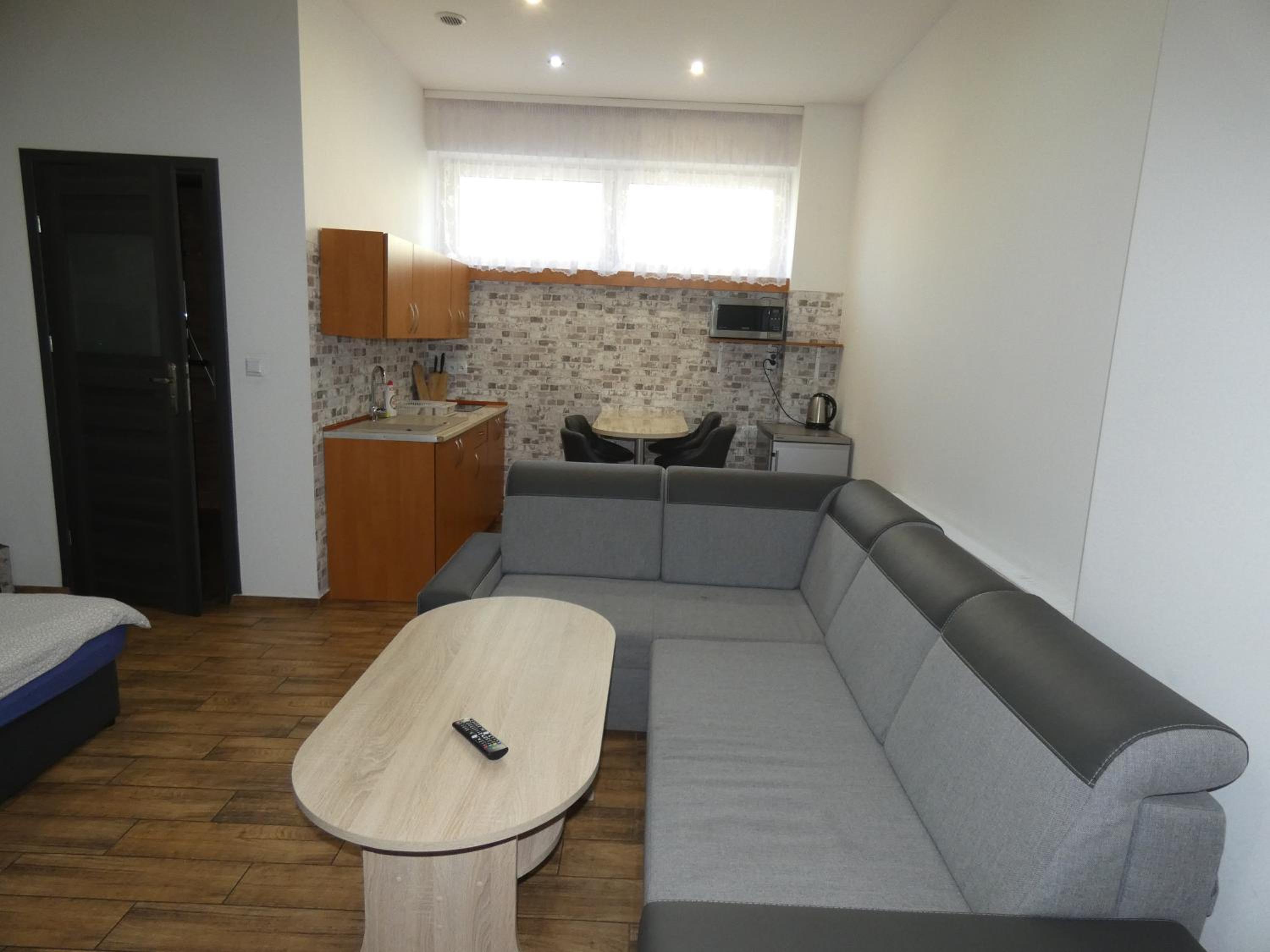 Studio Apartment with Fireplace photo 1