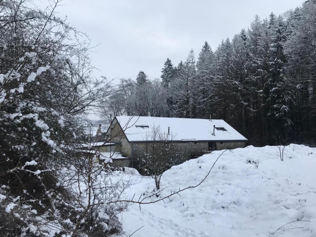 Vacation Home photo 3