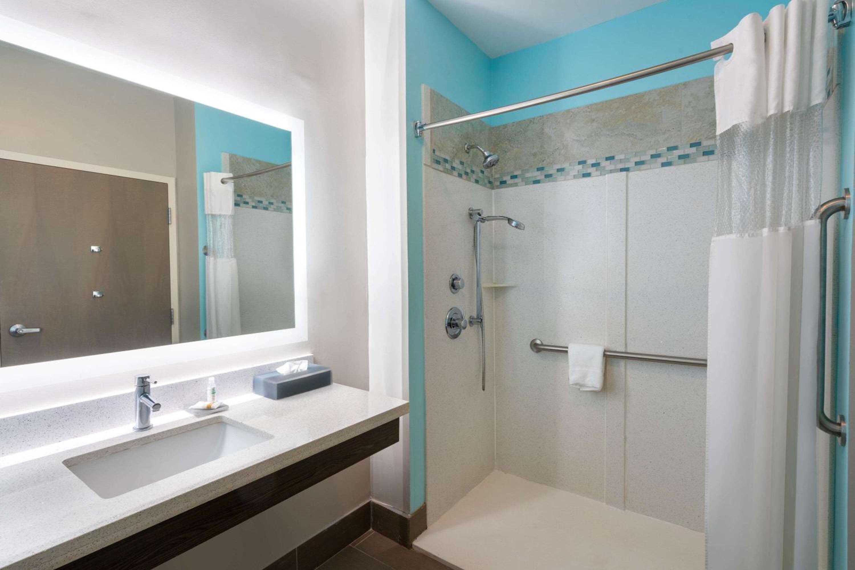 King Room with Roll-in Shower - Mobility Access/Non-Smoking photo 3
