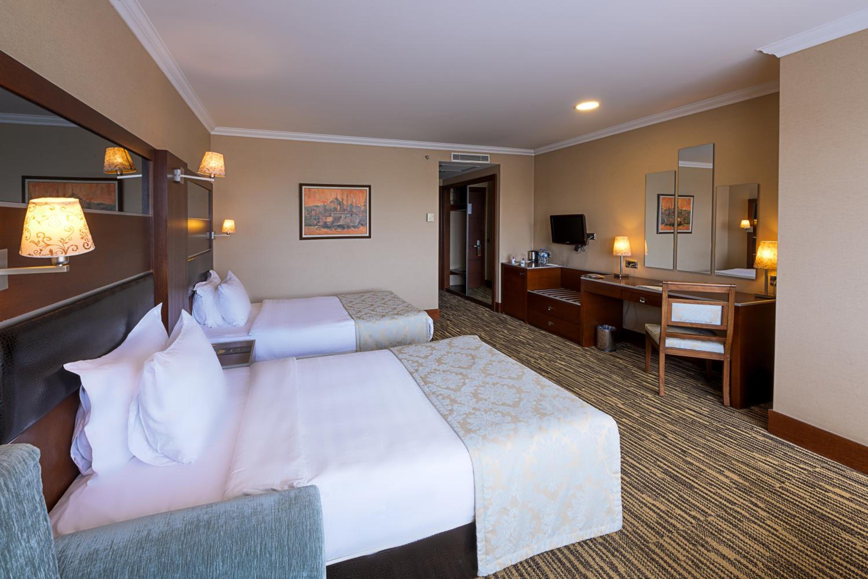 Deluxe Twin Room photo 1
