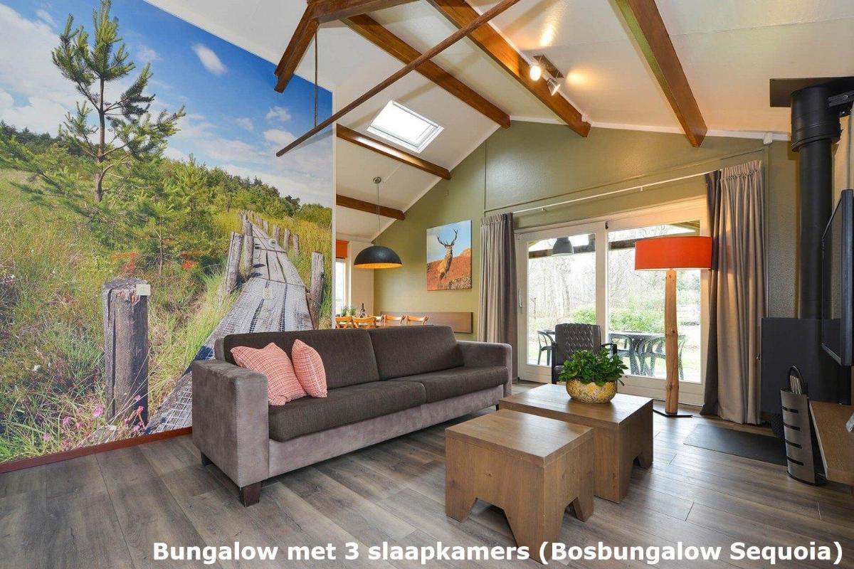 Three-Bedroom Bungalow photo 2