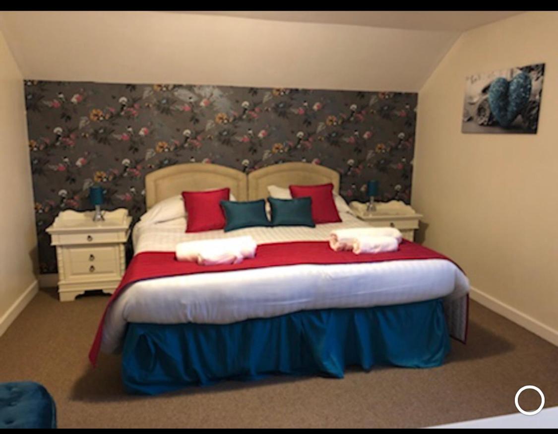 King Room photo 1