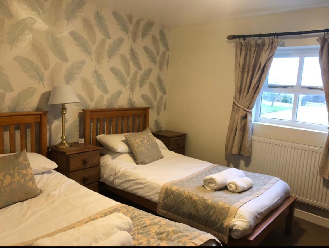 Twin Room photo 1