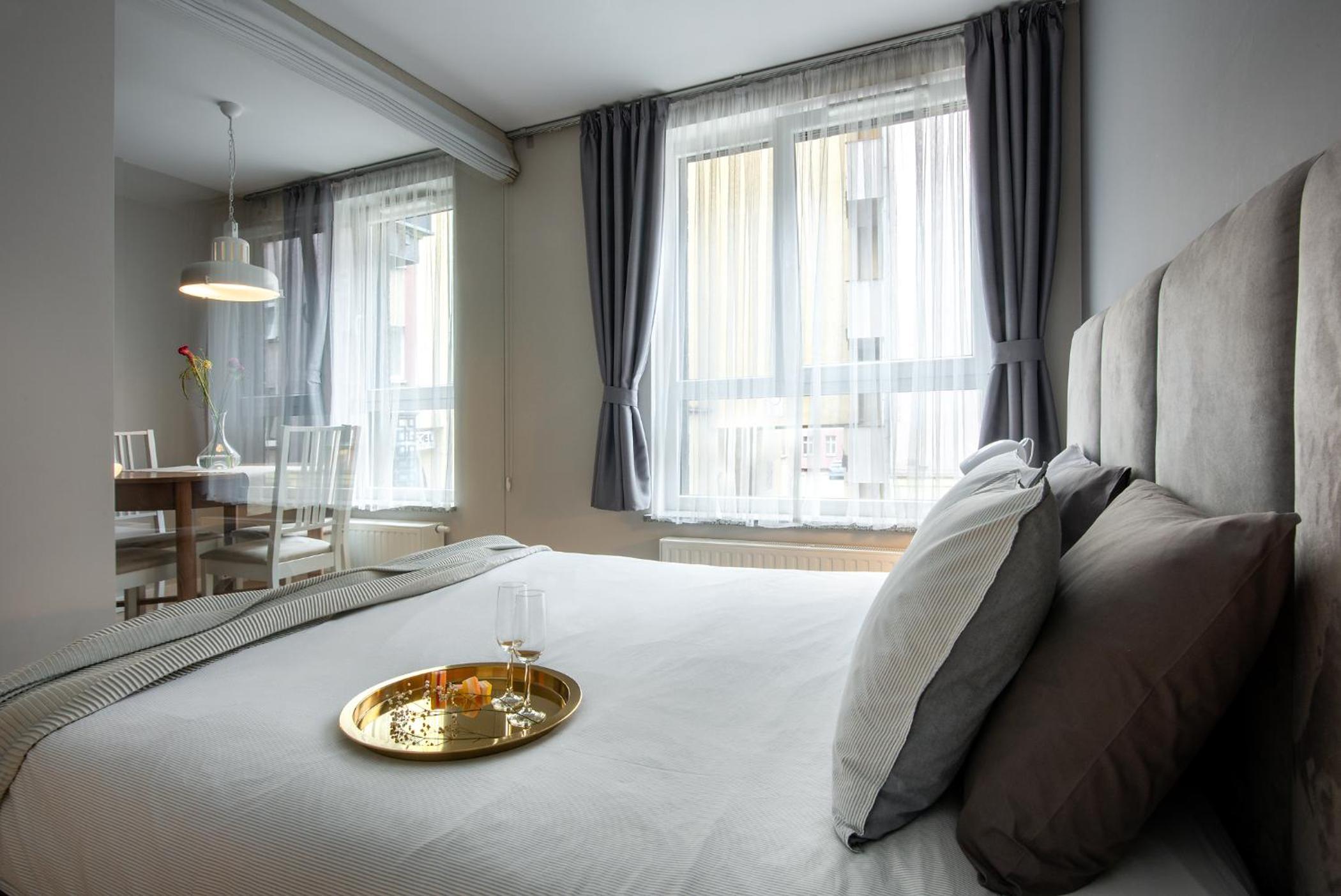 Deluxe One-Bedroom Apartment - Photo 9