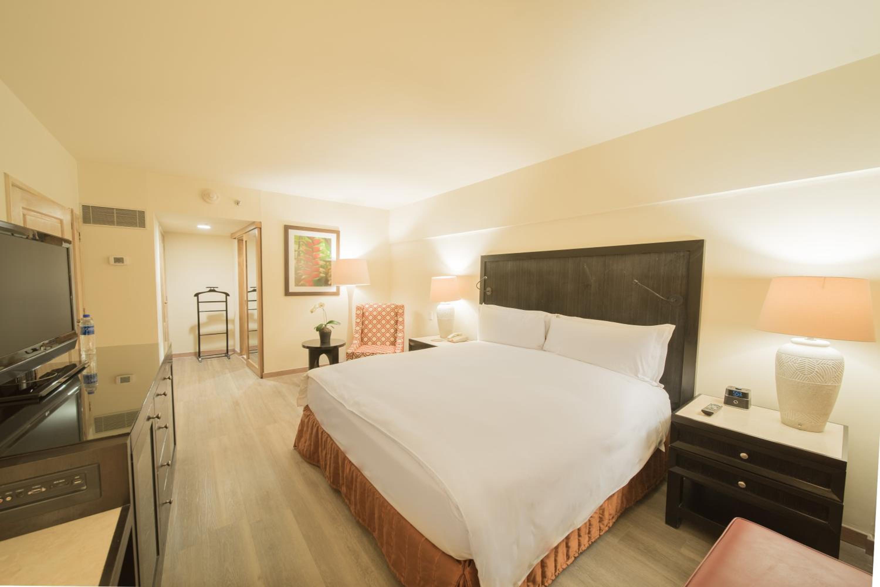 Junior King Suite - Photo 7