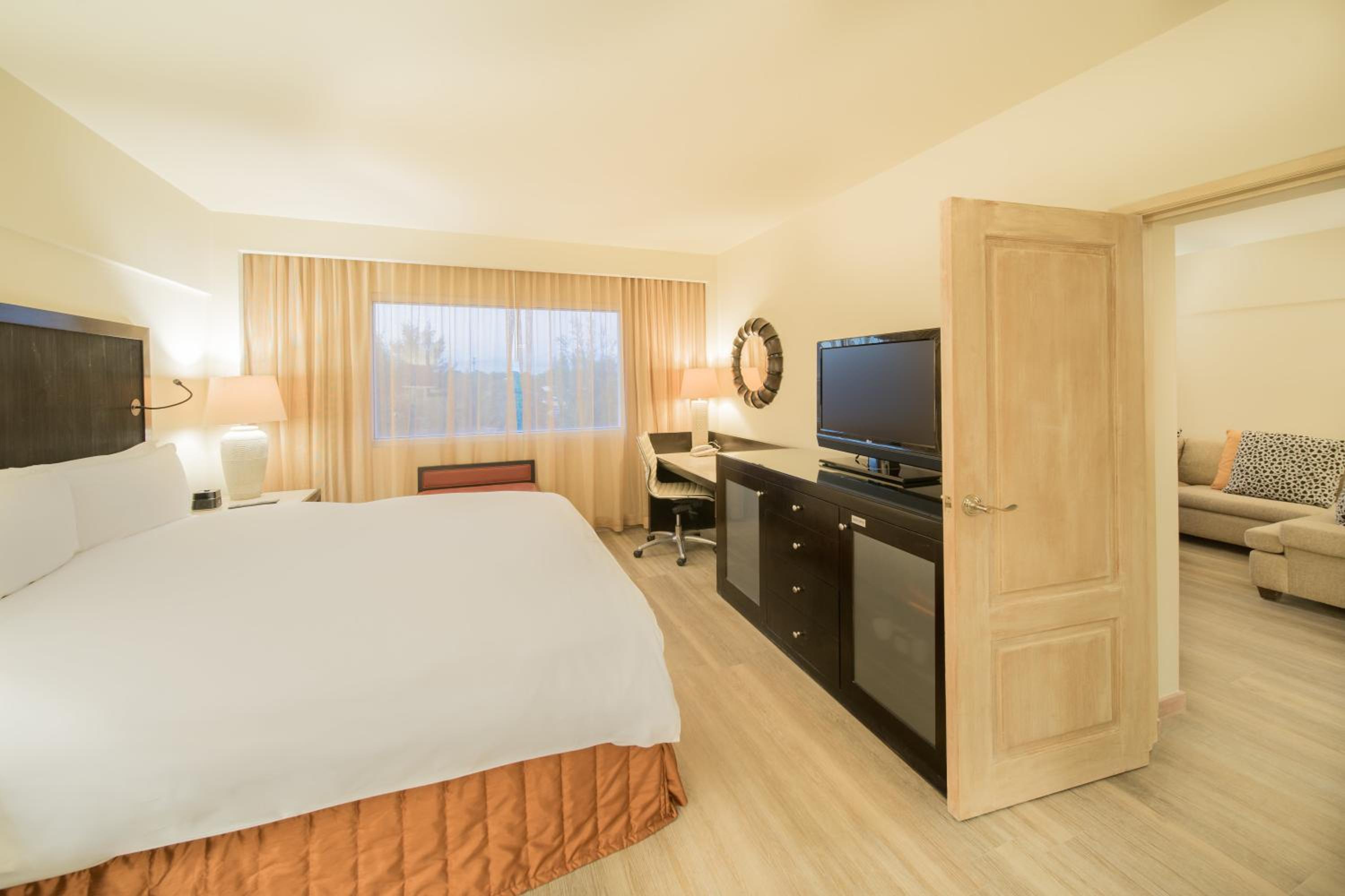Junior King Suite - Photo 3