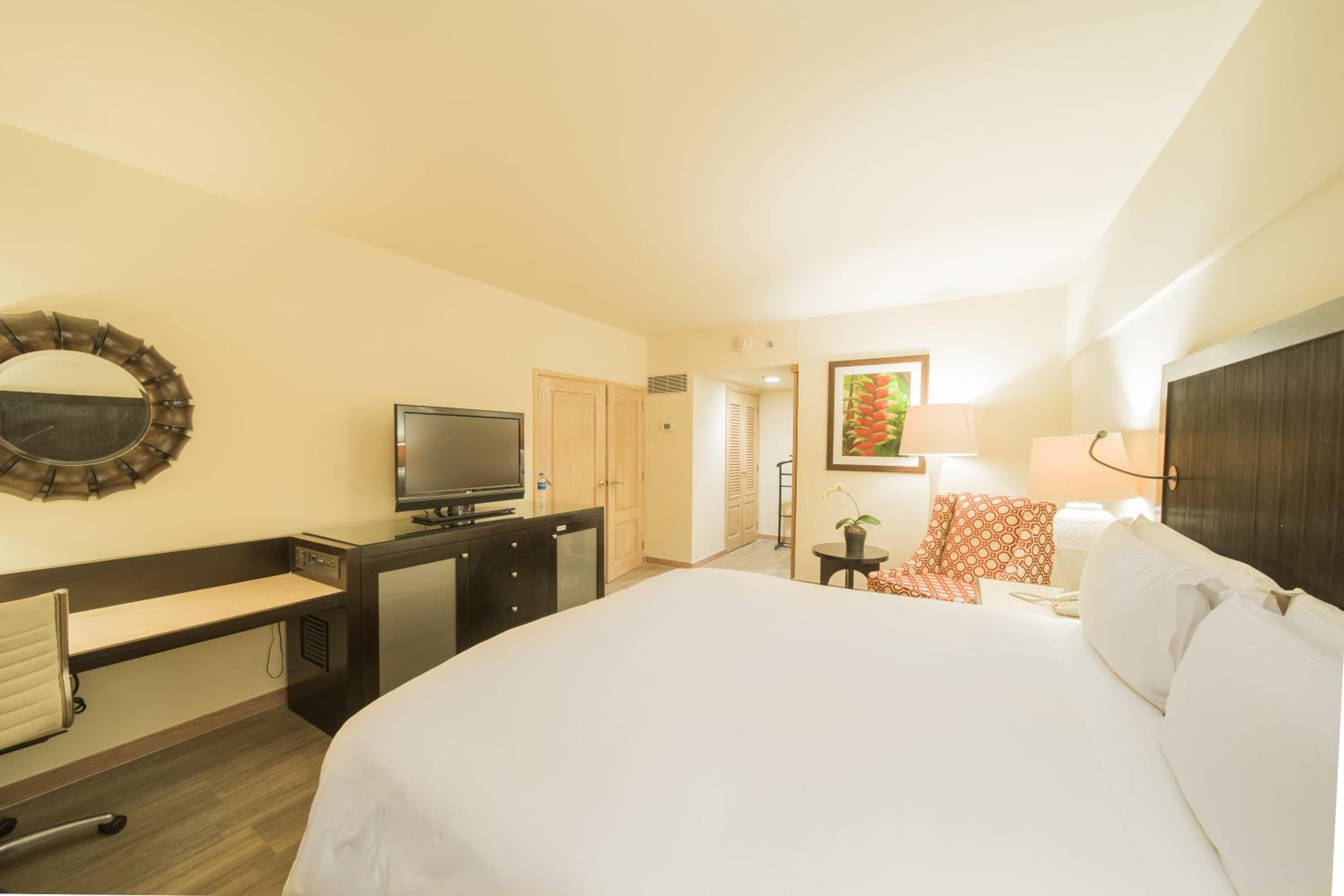 Junior King Suite - Photo 5
