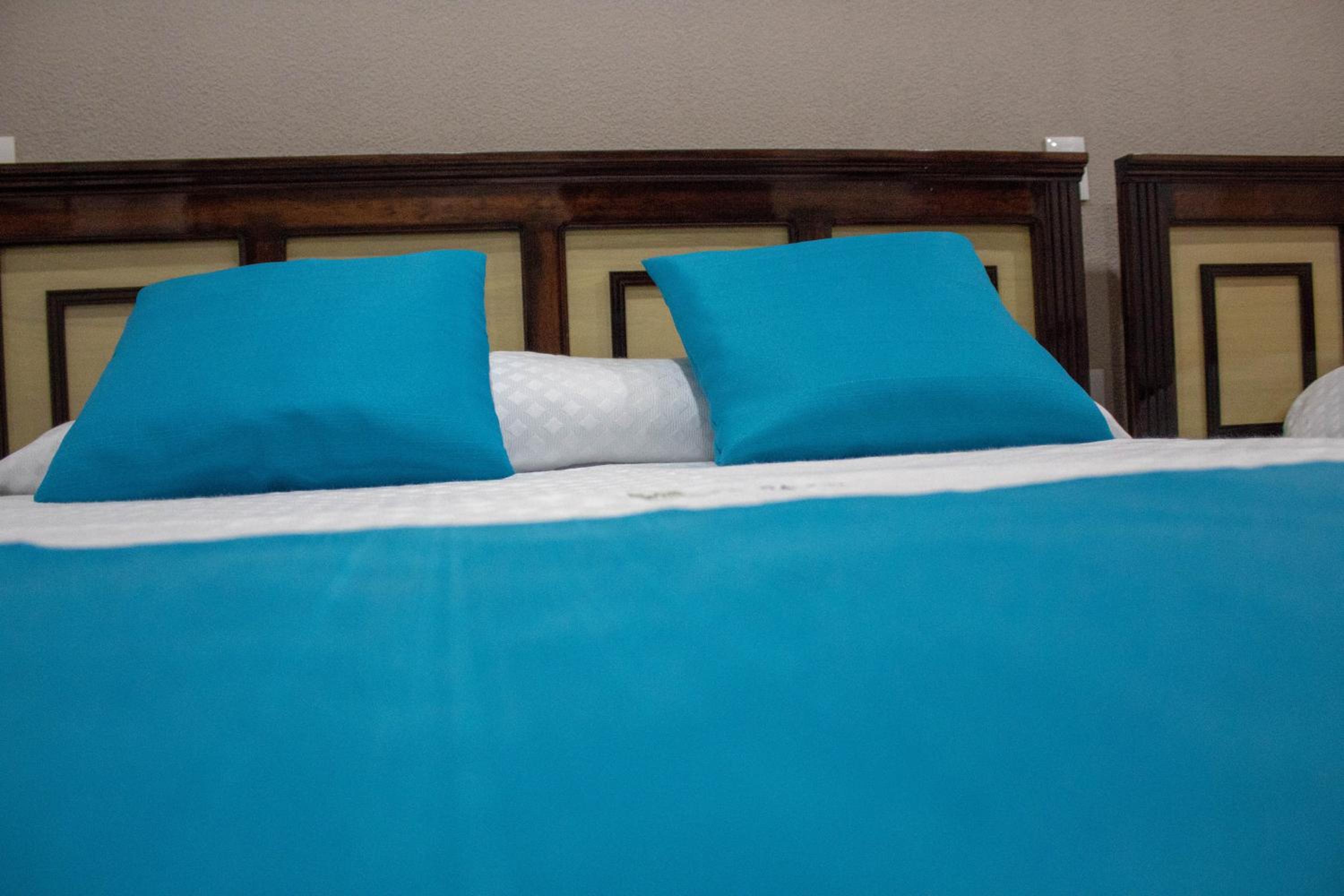 Single Room - Disability Access photo 1
