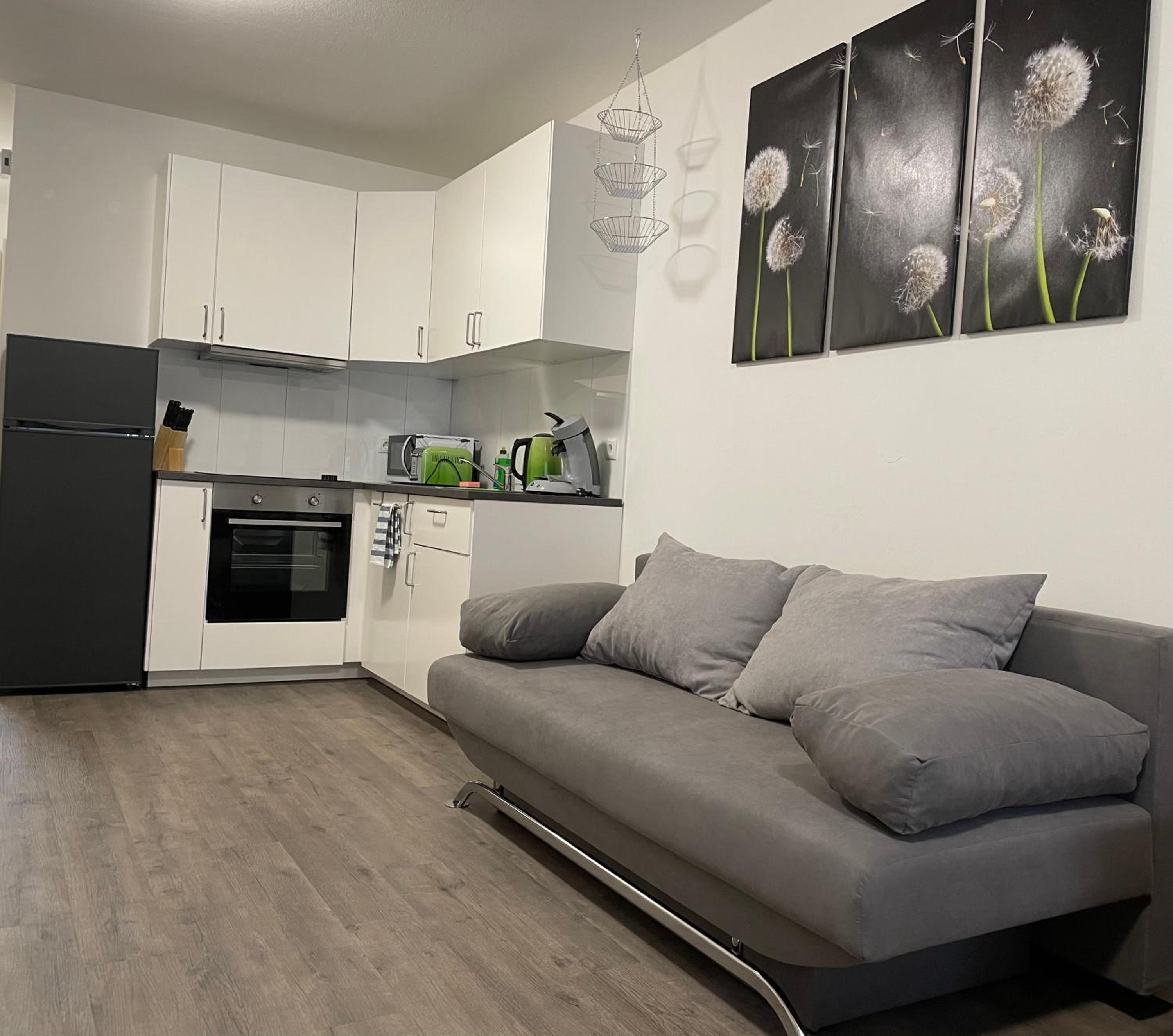 Standard Apartment photo 3