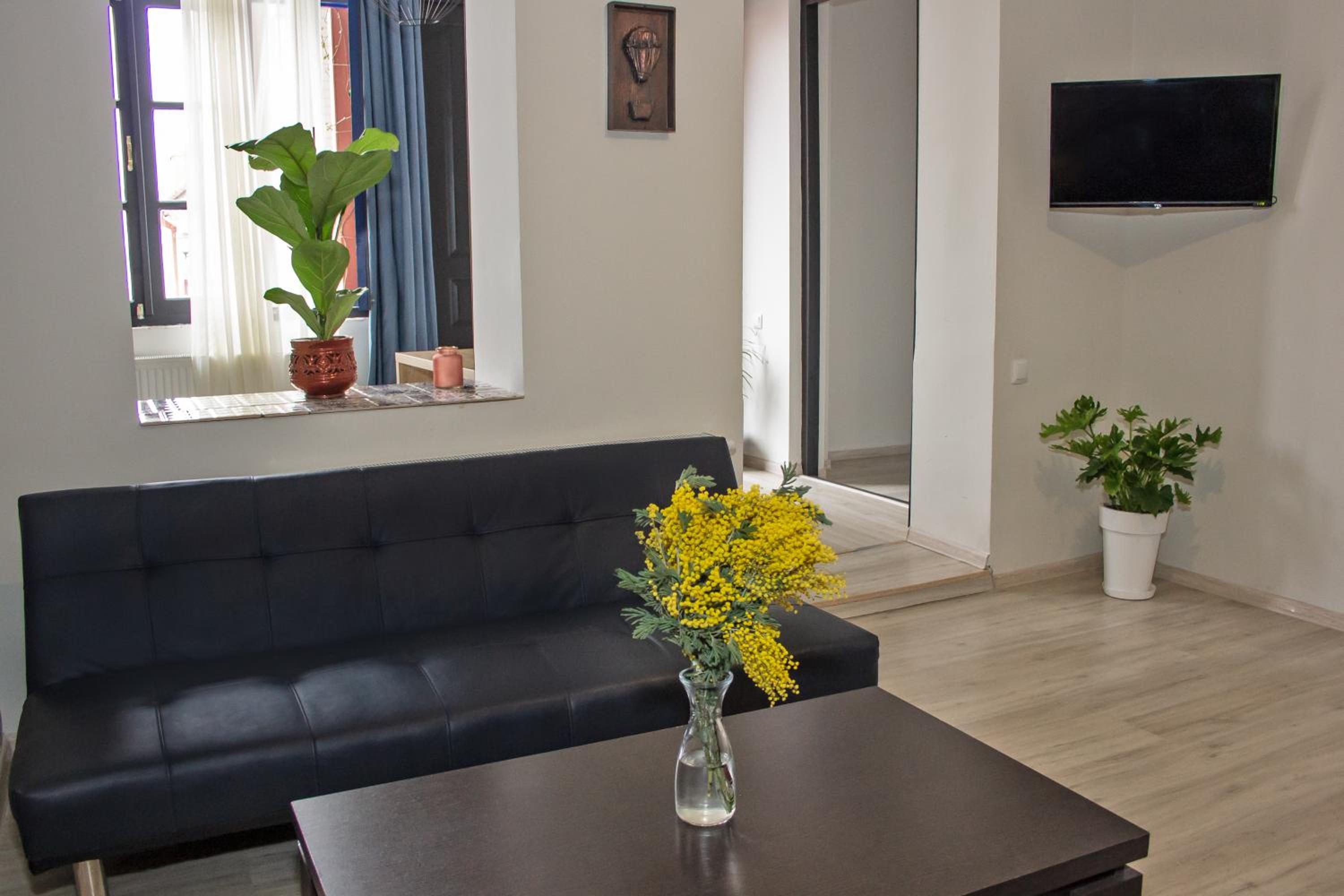 Superior Apartment photo 2