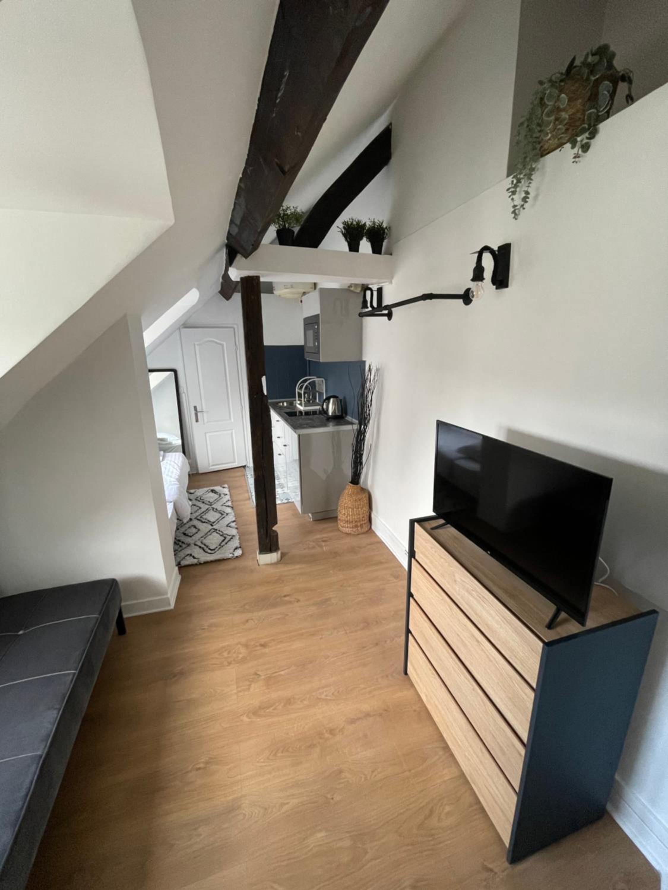 Studio Apartment photo 1