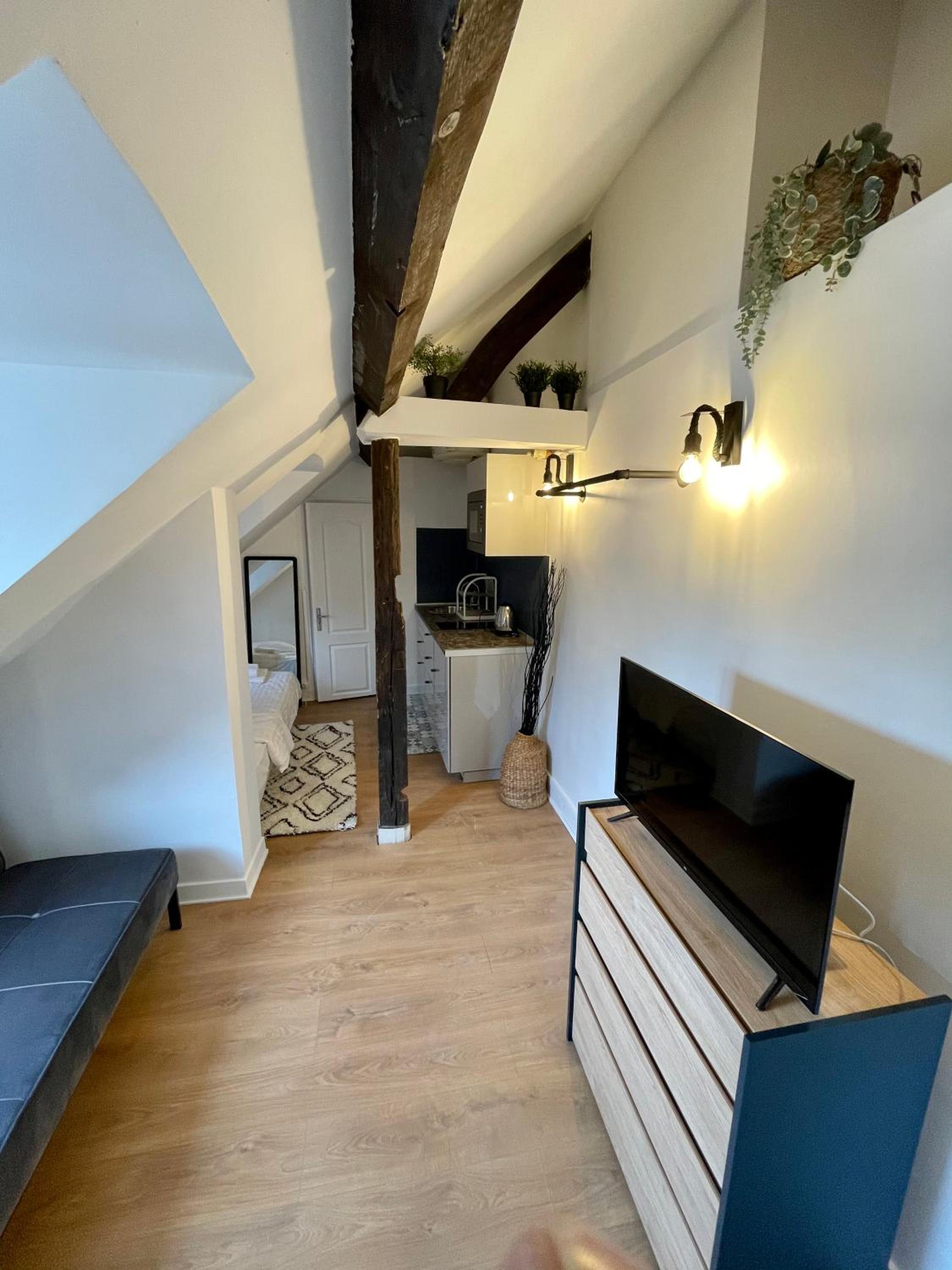 Studio Apartment photo 2