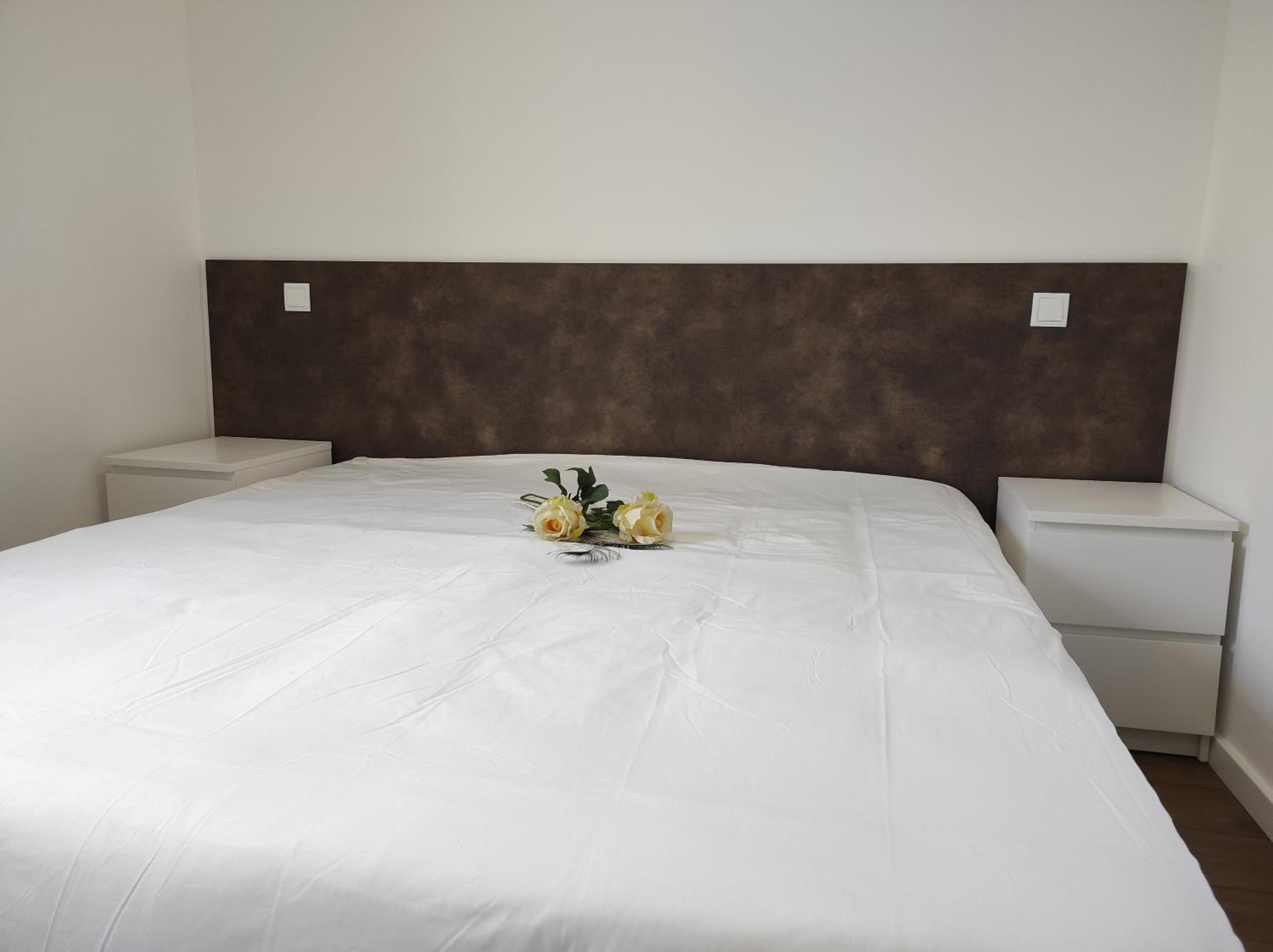 Standard Suite photo 2