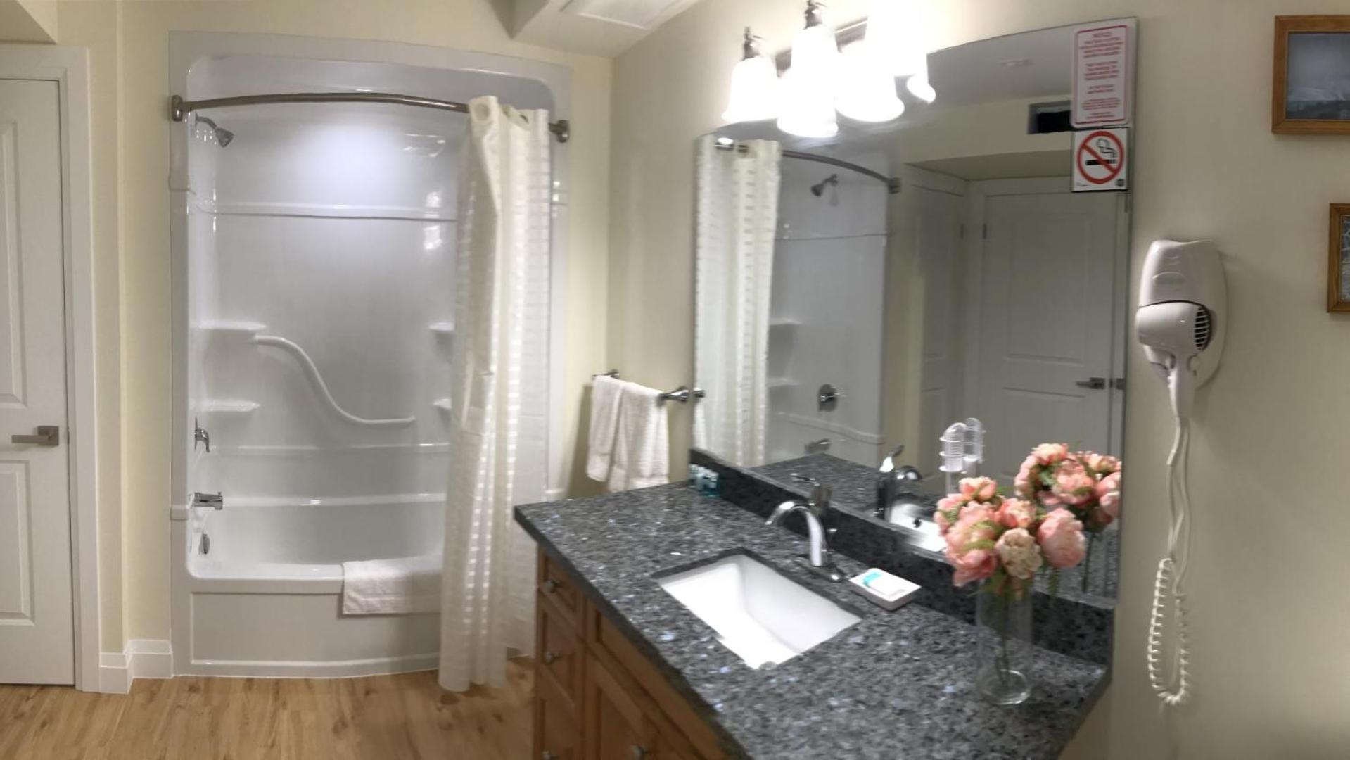 King Suite - Photo 4