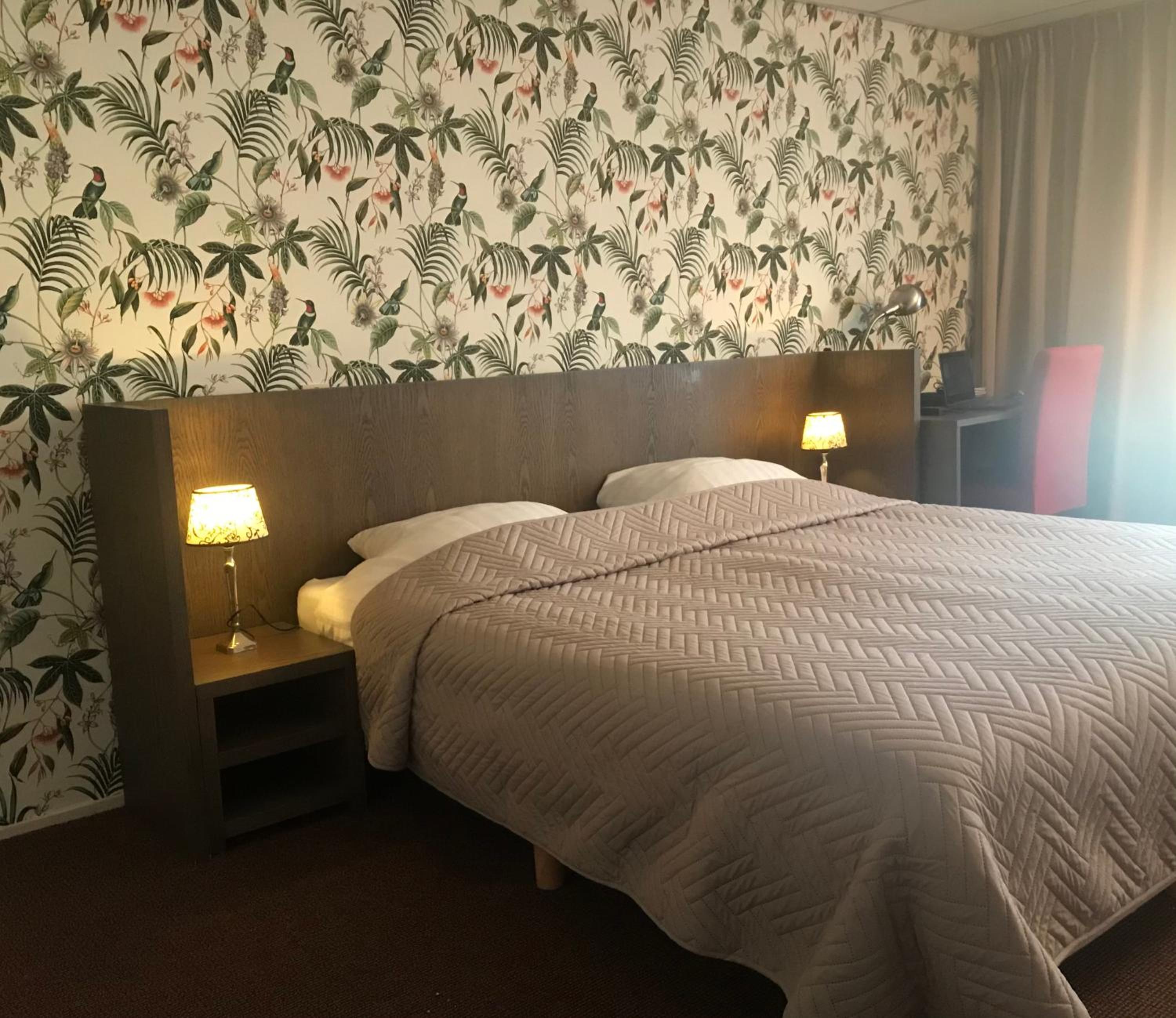 Comfort Twin Room photo 3