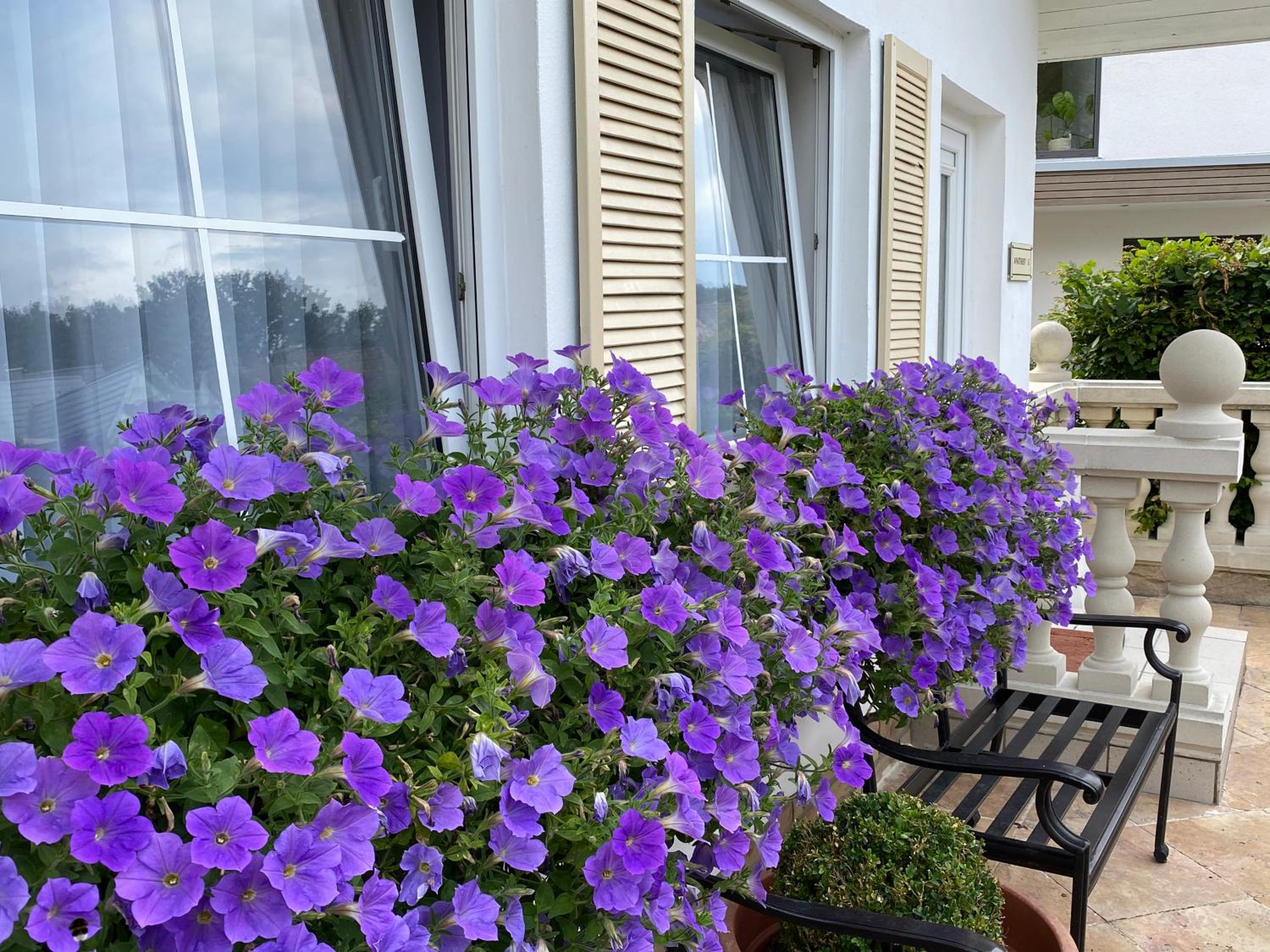 Holiday Flat (5 adults) - Photo 14