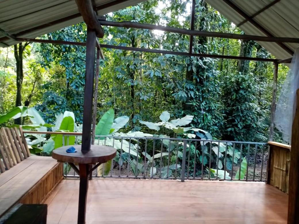 Quadruple Room with View photo 1