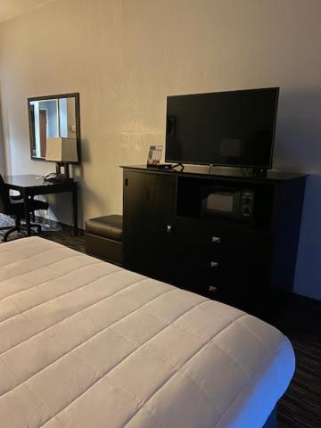 King Suite - Countryside - Photo 3