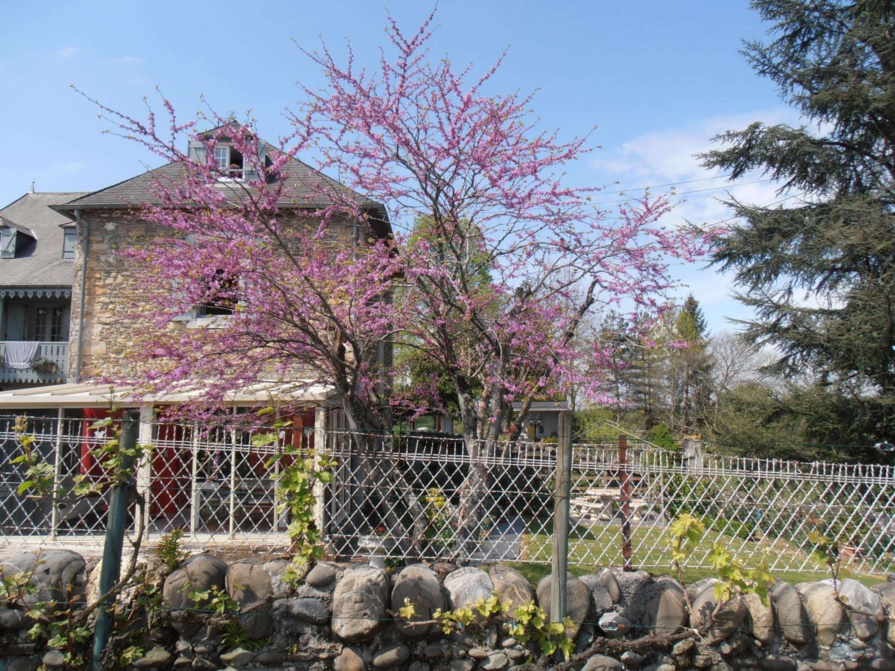 Two-Bedroom Cottage (5 Adults) photo 1