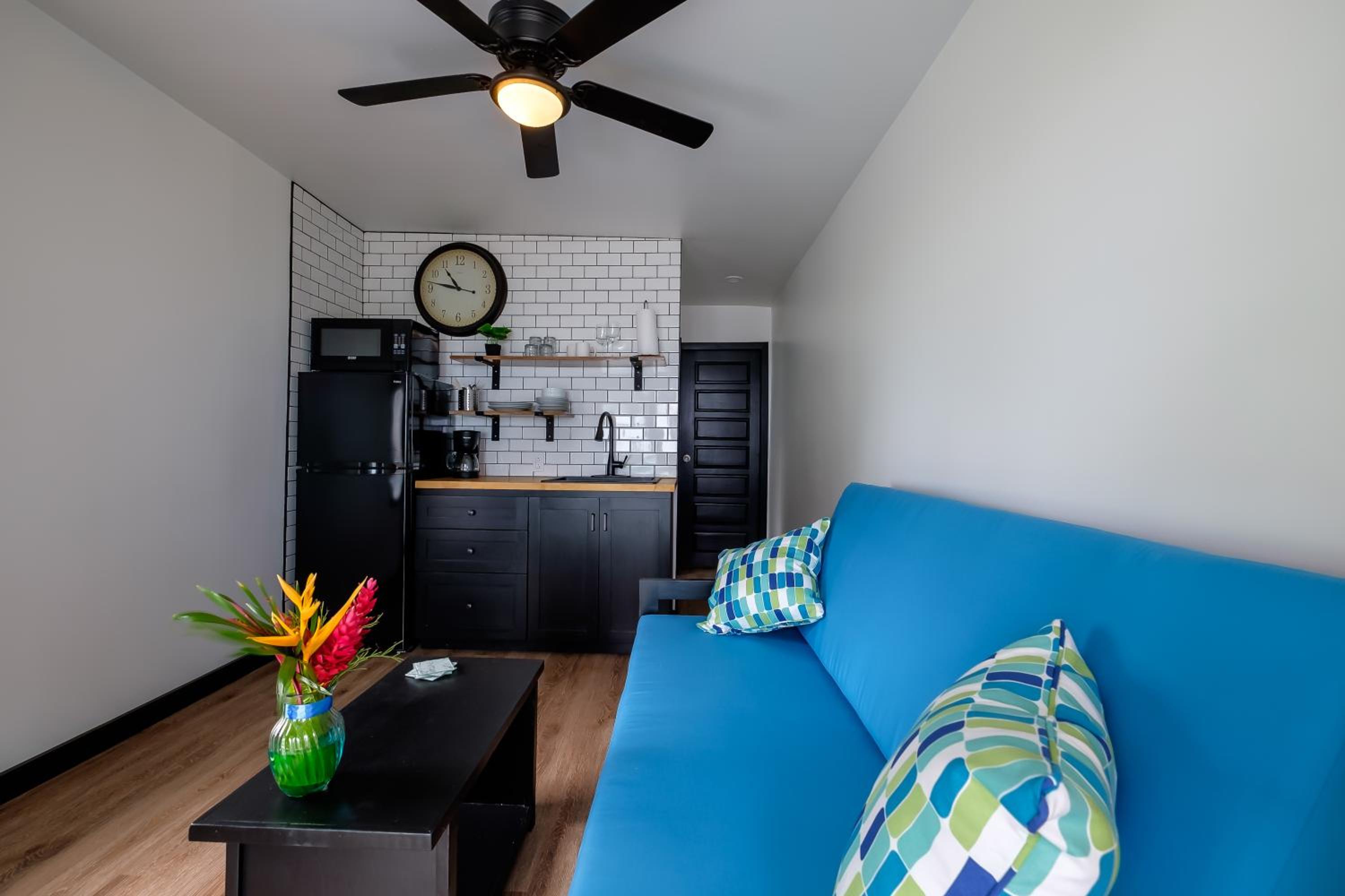 Suite 1 photo 1