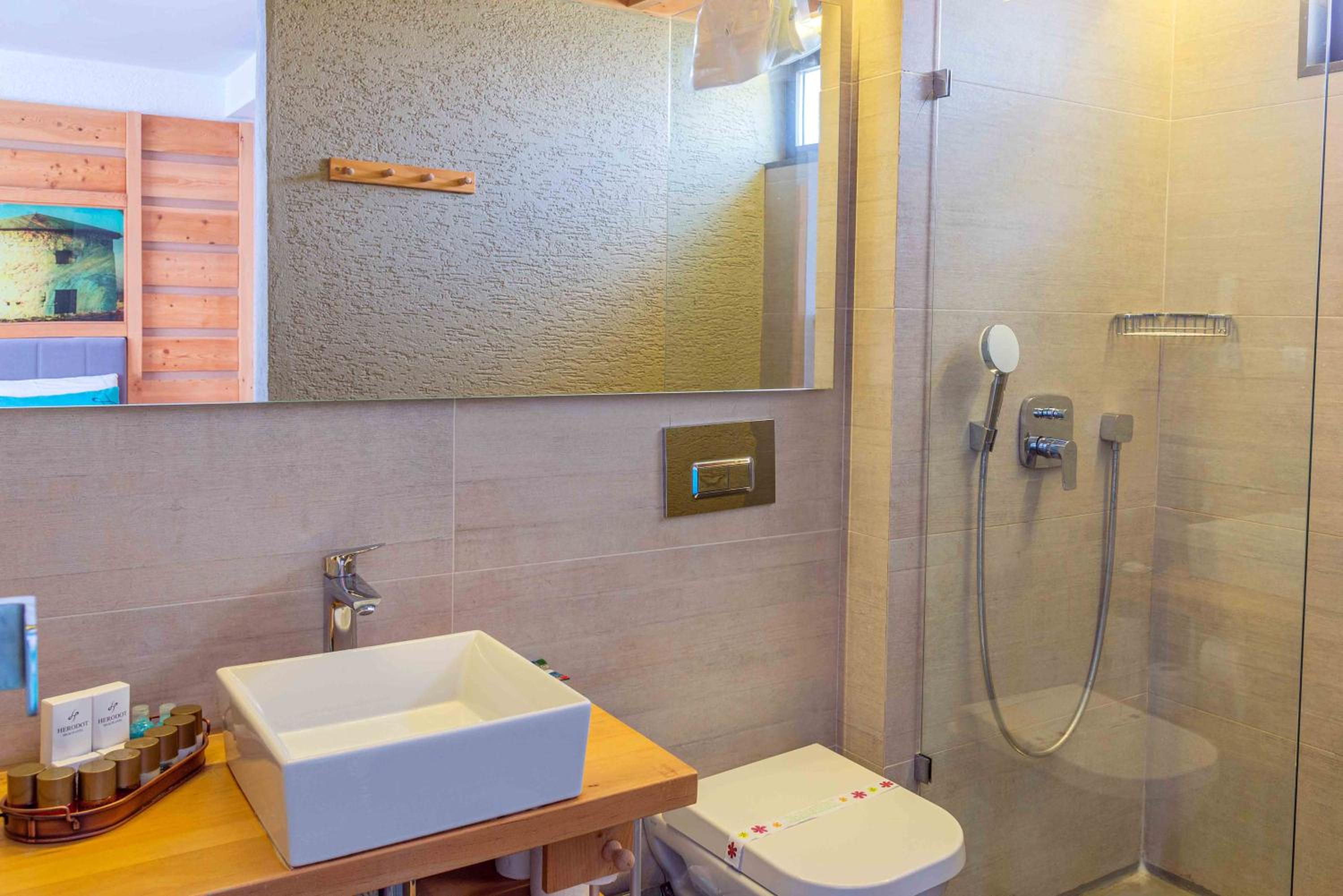 Deluxe Suite photo 2