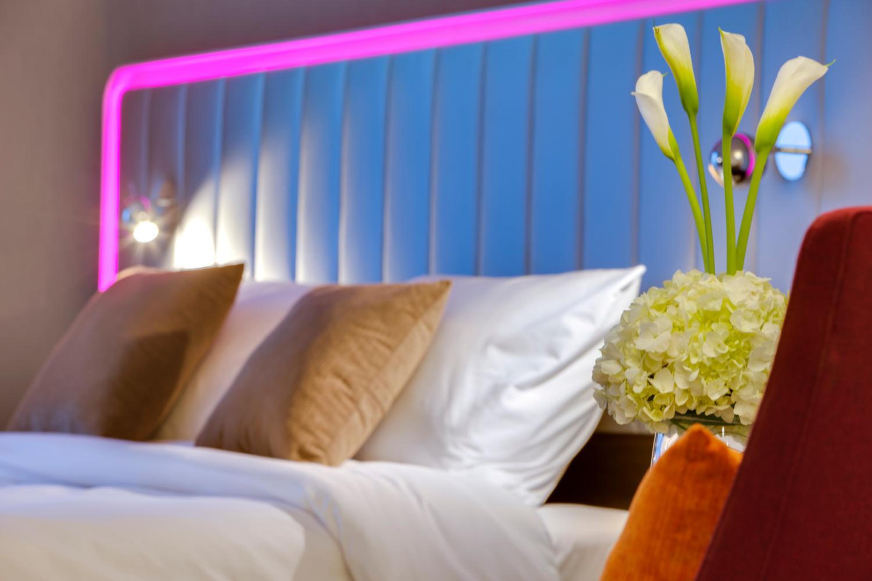 Suite photo 1