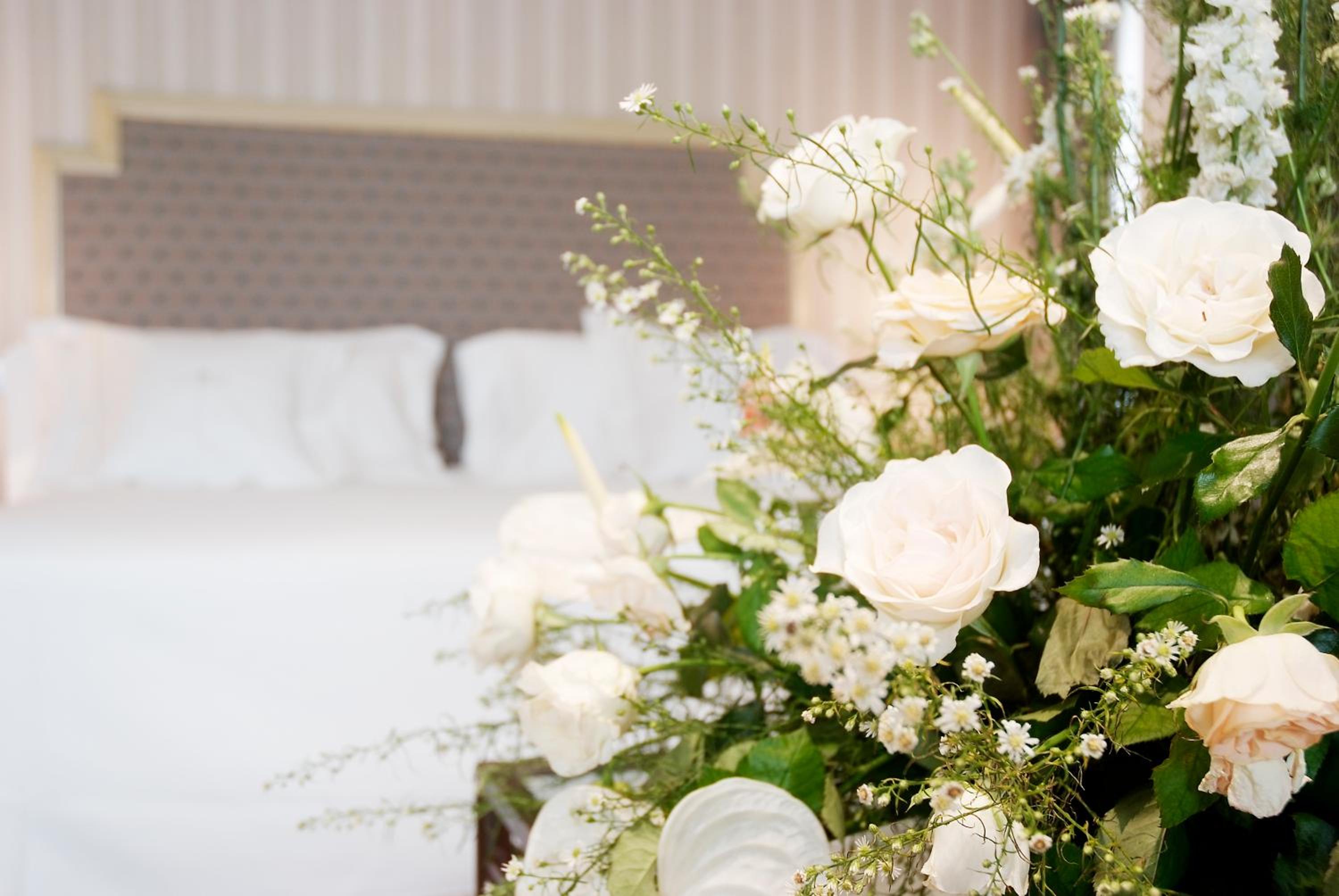 Suite - Photo 12