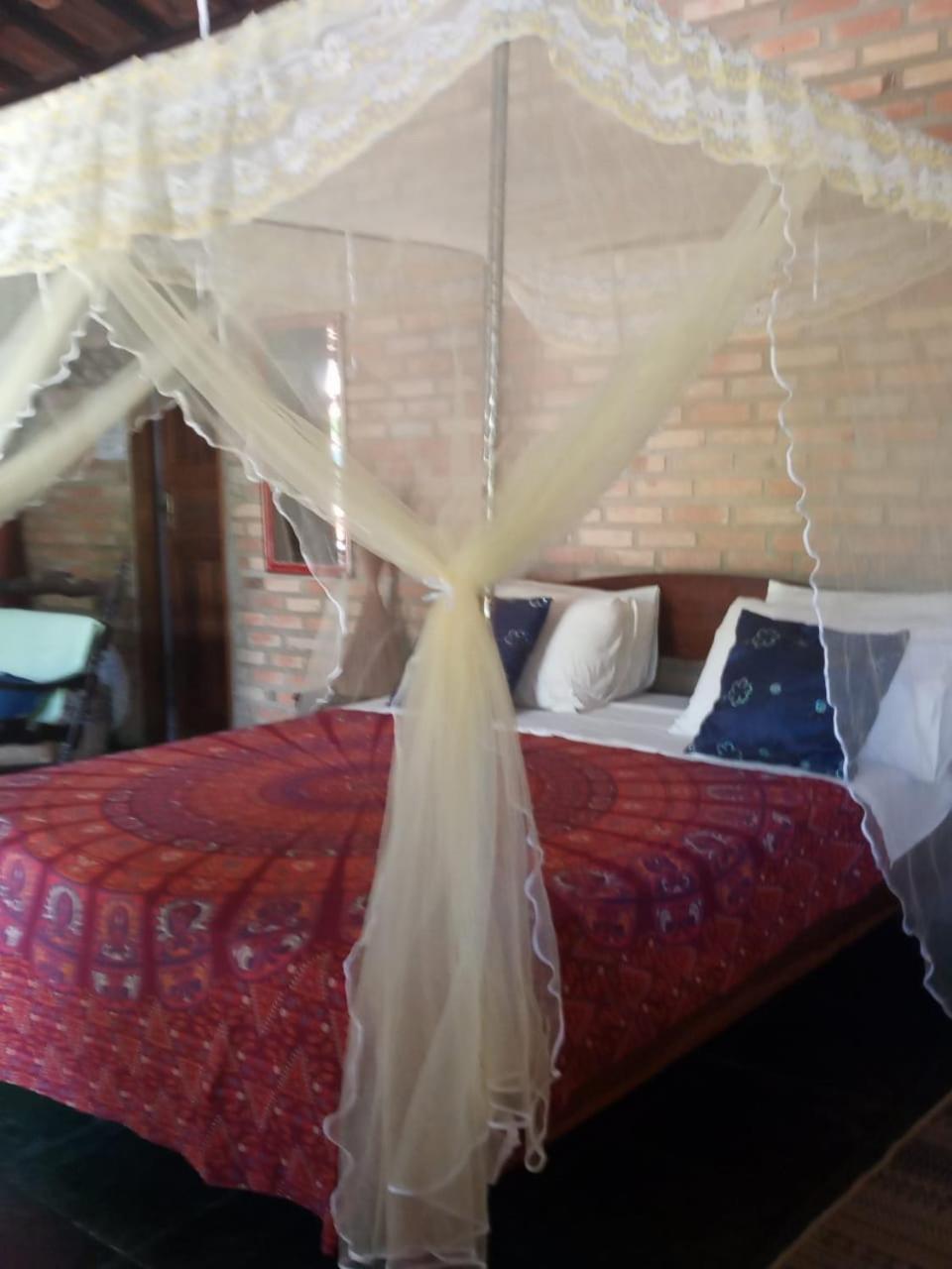 Suite With Garden View photo 1