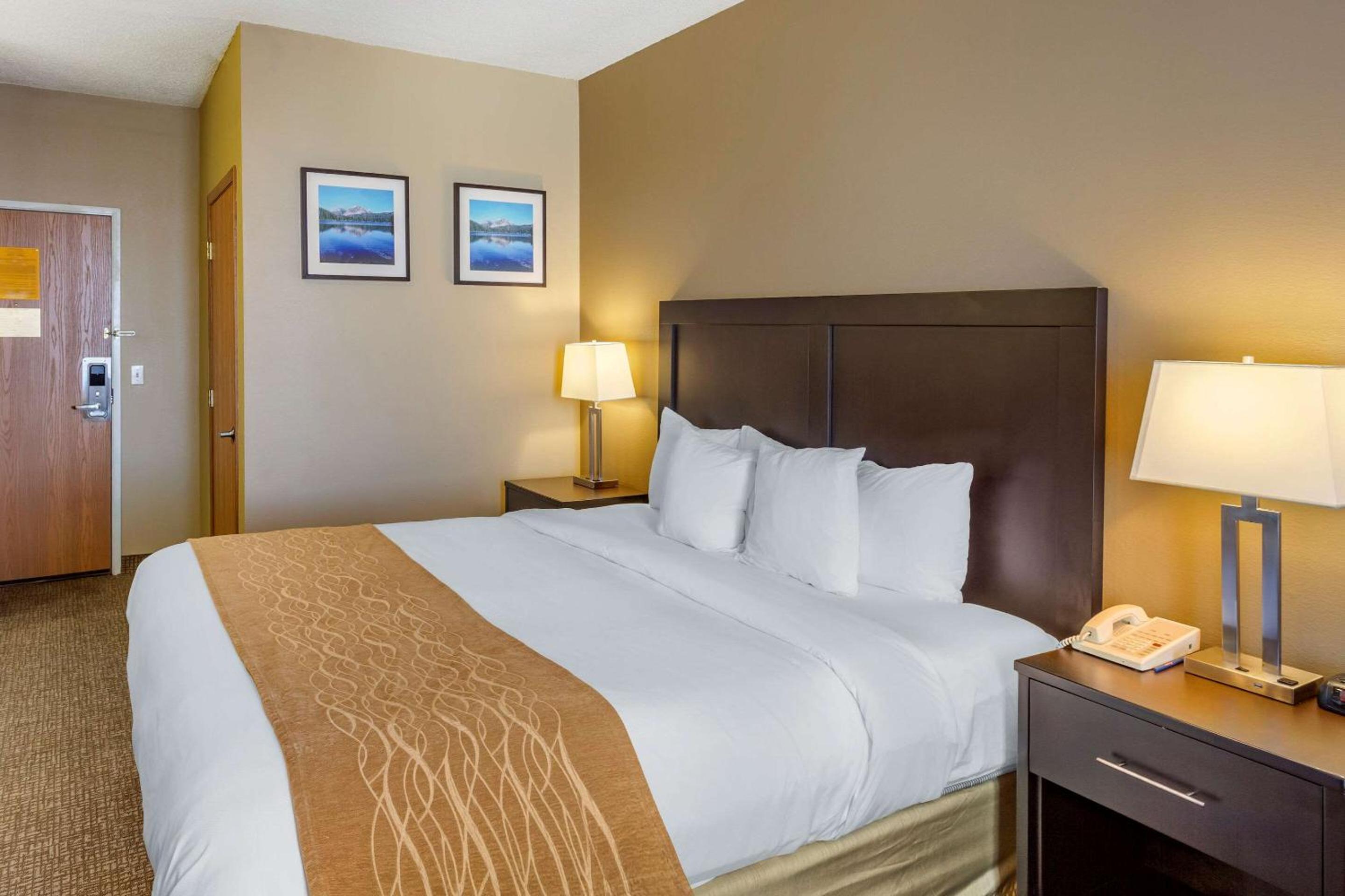 Superior King Suite - Non-Smoking - Photo 3