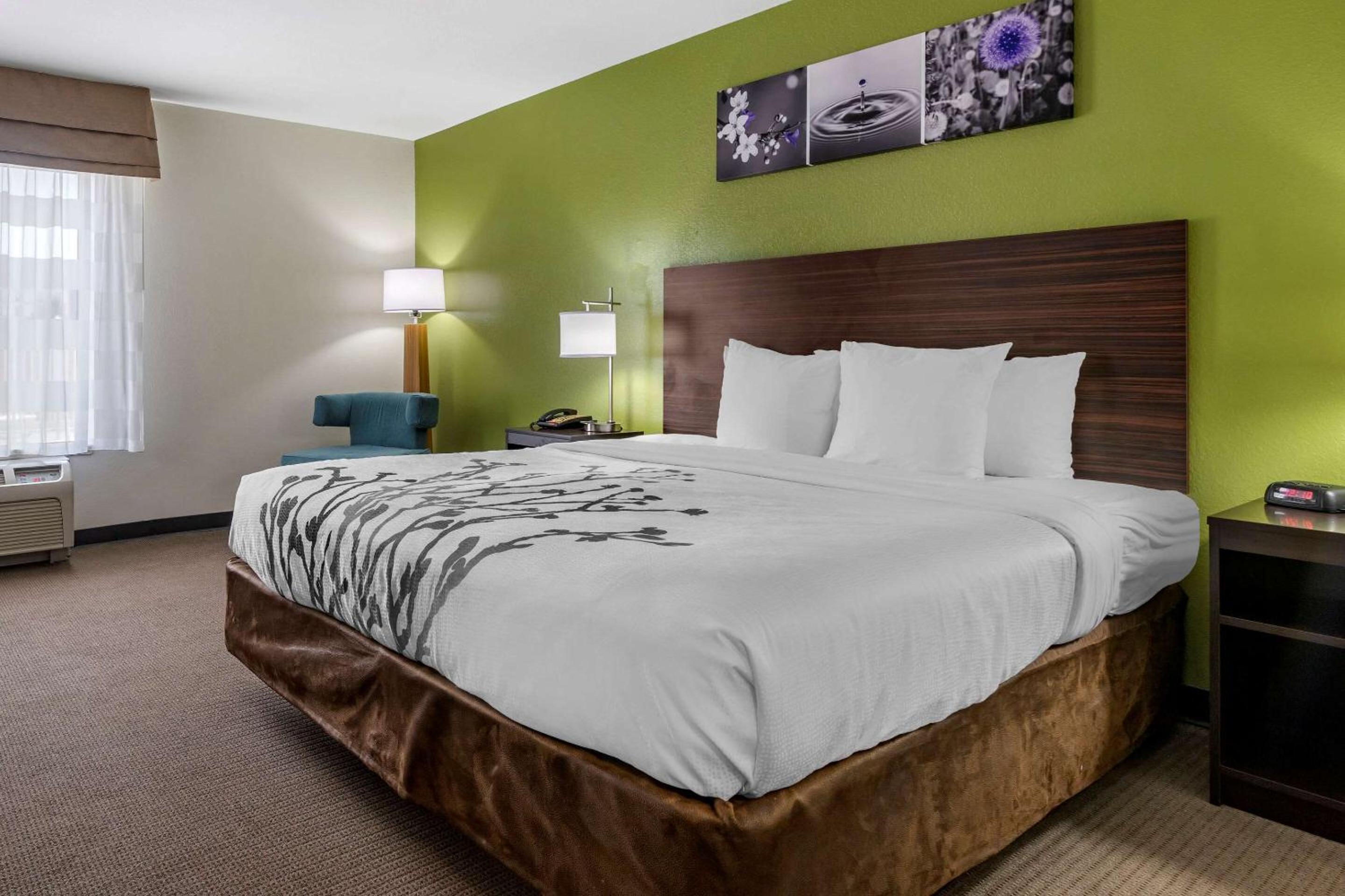 King Room - Non-Smoking - Photo 1