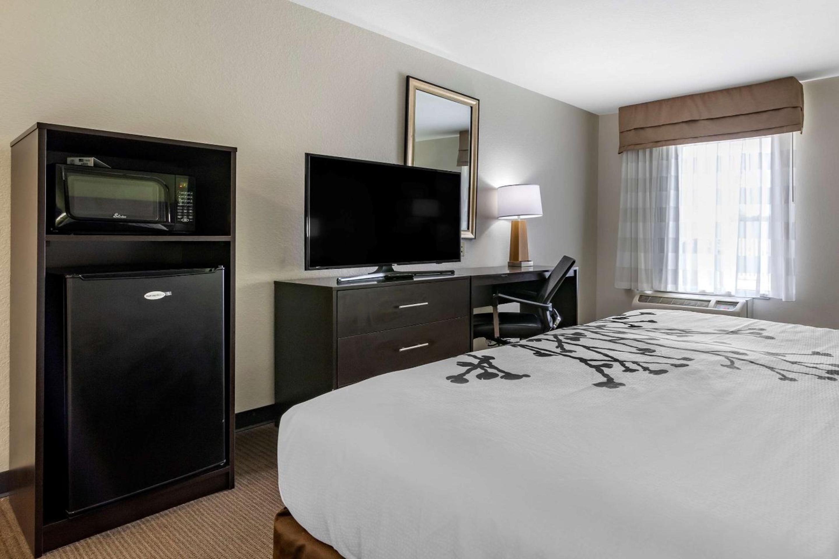 King Room - Non-Smoking - Photo 2