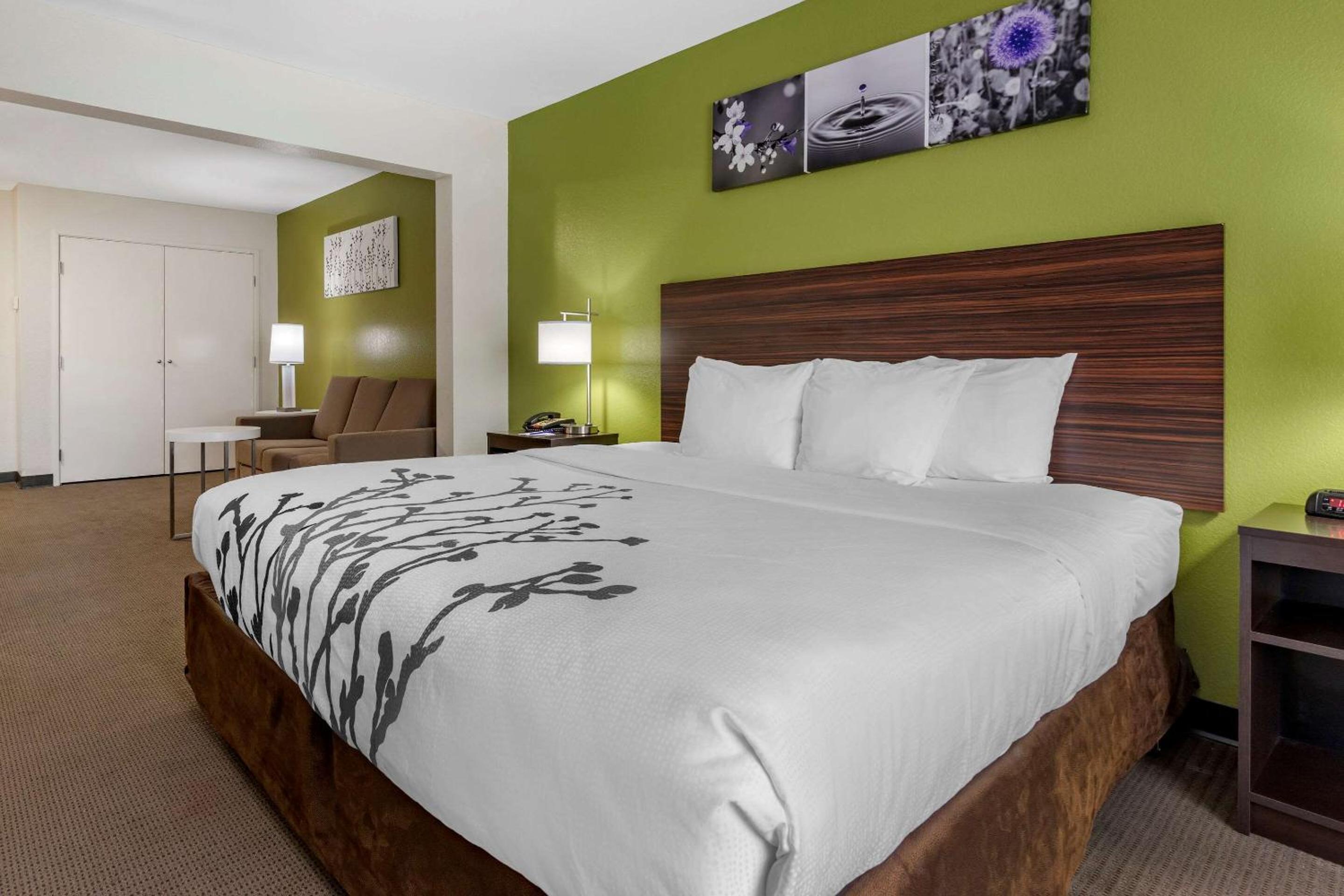 One Room Suite with Sofa bed - Disability Access/Non Smoking - Photo 3