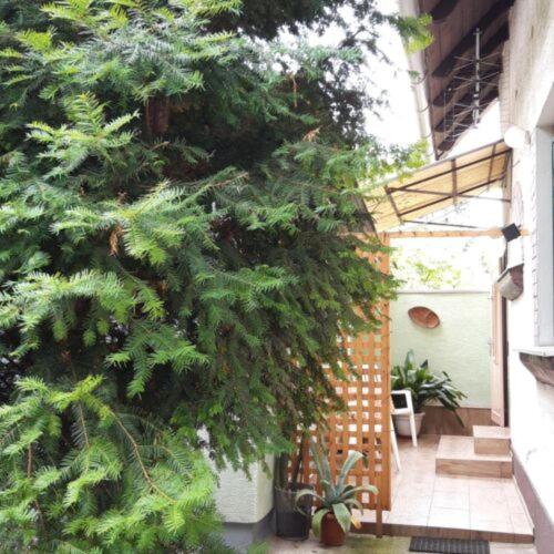 Apartment with Terrace - Photo 11