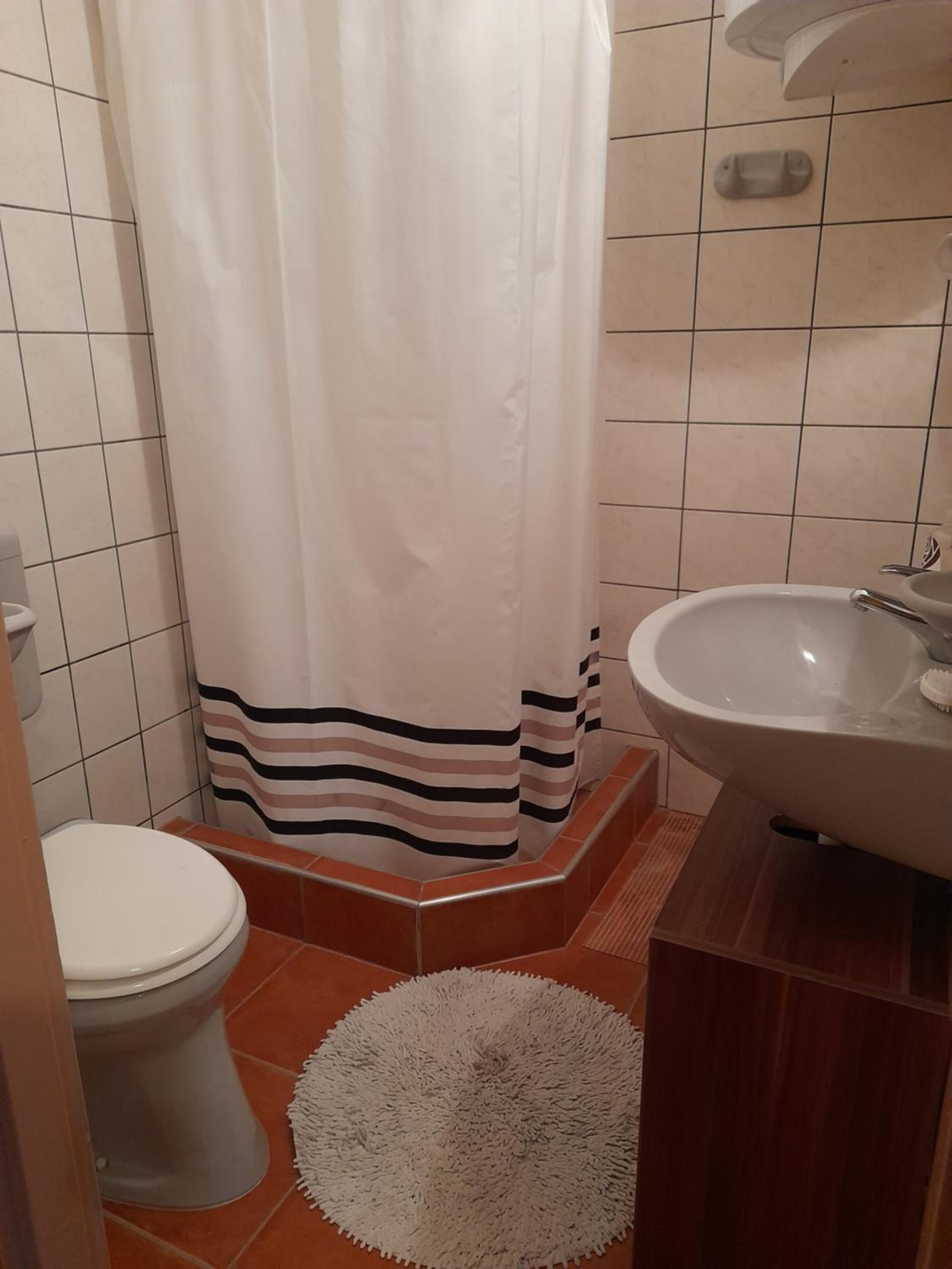 Apartment with Terrace - Photo 10