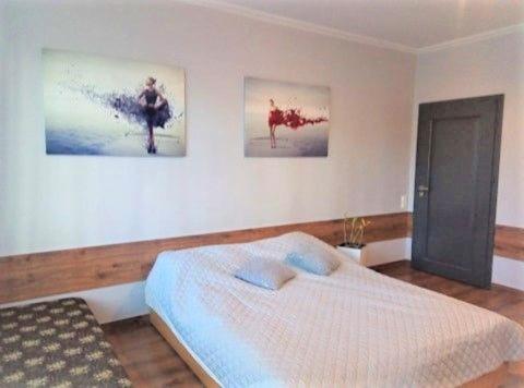 Apartment with Terrace photo 1